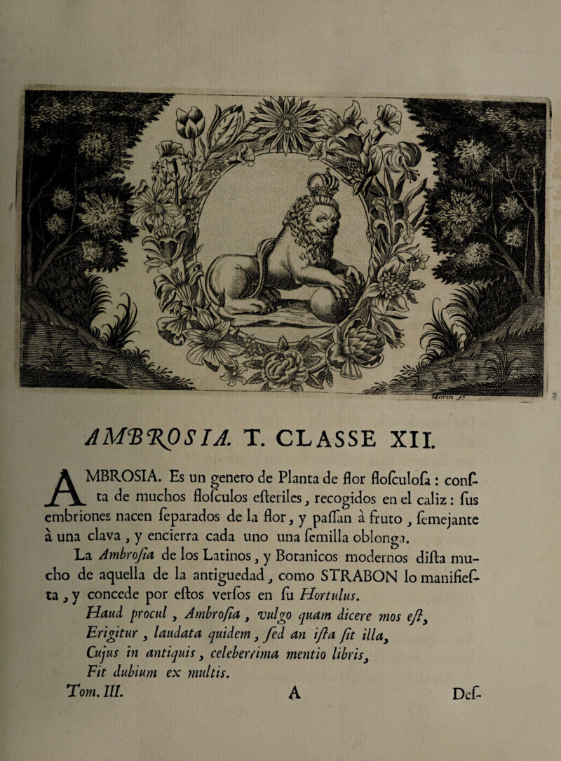 ^órtnjFl AM<B%OSIA. T. CLASSE XII. AMBROSIA. Es un genero de Planta de flor floículofa : conC ta de muchos floículos efteriles., recogidos en el cáliz: fus embriones nacen feparados de la flor, y paflan á fruto , femejante á una clava , y encierra cada uno una femilla oblonga. La Ambrojia de los Latinos, y Botánicos modernos diña mu¬ cho de aquella de la antigüedady como STRABON lo manifies¬ ta ¿ y concede por eftos verfos en fu Hortulus. Haud procul y Ambrofla, vulgo quam dicere mos efty Erigitur y laudata quidem y fed an ifta fit illa, Cujus hi antiquis y celebérrima mentio librisy Fit dubium ex muí ti s. Tom. 11L A Dcf-