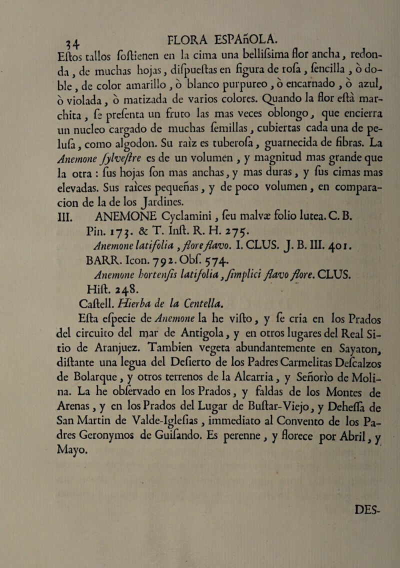 Eftos tallos foftienen en la cima una bellifsima flor ancha, redon¬ da , de muchas hojas, difpueftas en figura de rofa, íencilla , 6 do¬ ble , de color amarillo , o blanco purpureo , o encarnado , o azul, o violada, o matizada de varios colores. Quando la flor eftá mar¬ chita , fe prefenta un fruto las mas veces oblongo, que encierra un núcleo cargado de muchas íemillas, cubiertas cada una de pe- luía , como algodón. Su raíz es tuberoía, guarnecida de fibras. La Anemone fylveflre es de un volumen , y magnitud mas grande que la otra : fus hojas ion mas anchas, y mas duras, y fus cimas mas elevadas. Sus raíces pequeñas, y de poco volumen, en compara¬ ción de la de los Jardines. III. ANEMONE Cyclamini, íeu malvae folio lútea. C. B, Pin. 173. & T. Inft. R. H. 275. Anemone latifolia ¡floreflavo. I. CLUS. J. B. III. 401* BARR. Icón. 792. Obf. 574. Anemone hortenfis latifolia }flmplici flavo flore. CLUS. Hift. 248. Caftell. Hierba de la Centella. Efta efpecie de Anemone la he vifto, y íe cria en los Prados del circuito del mar de Antigola, y en otros lugares del Real Si¬ tio de Aranjuez. También vegeta abundantemente en Sayaton, difiante una legua del Defierto de los Padres Carmelitas Deícalzos de Bolarque , y otros terrenos de la Alcarria, y Señorío de Moli¬ na. La he obíervado en los Prados, y faldas de los Montes de Arenas, y en los Prados del Lugar de Buftar-Viejo, y Dehefla de San Martin de Valde-Iglefias, immediato al Convento de los Pa¬ dres Geronymos de Guifando. Es perenne, y florece por Abril, y Mayo.