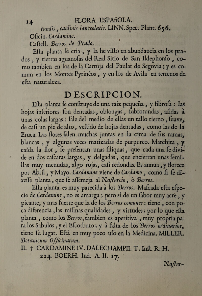 tundís y caulinis lanceolatis. LINN.Spec. Plant. 656* Oficin. Cardamine. Caftell. (Berros de Brado. Efta planea fe cria , y la he vifto en abundancia en los pra¬ dos , y tierras aguanofas del Real Sitio de San Ildephonfo , co¬ mo también en los de la Cartuja del Paular de Segovia} y es co¬ mún en los Montes Pyrineos , y en los de Avila en terrenos de efta naturaleza. DESCRIPCION. Efta planta fe conftruye de una raíz pequeña , y fibrofa : las hojas inferiores ion dentadas, oblongas , fubrotundas , afidas á unas colas largas: file del medio de ellas un callo tierno , fuave, de cafi un pie de alto, veftido de hojas dentadas, como las de la Eruca. Las flores (alen muchas juntas en la cima de fus ramas, blancas , y algunas veces matizadas de purpureo. Marchita , y caída la flor , fe preíentan unas filiquas, que cada una fe divi¬ de en dos calcaras largas, y delgadas, que encierran unas Peini¬ llas muy menudas, algo rojas, cali redondas. Es annua ,y florece por Abril, y Mayo. Cardamine viene de Cardamo , como 11 le di- xeífe planta, que fe aífemeja al TSLa/lurcio, o Berros. Efta planta es muy parecida a los Berros. Maleada efta efpe- cie de Cardamine, no es amarga j pero si de un labor muy acre, y picante, y mas fuerte que la de los Berros comunes: tiene , con po¬ ca diferencia, las mifmas qualidades, y virtudes 5 por lo que efta planta , como los Berros} también es aperitiva , muy propria pa¬ ra los Sábulos, y el Efcorbuto; y a falta de los Berros ordinarios, tiene fu lugar. Efta en muy poco ufo en la Medicina. MILLER. Botanicum Ofjicinarum. 11. t CARDAMINE IV. DALECHAMPII. T. Inft. R. H. 224. BOERH. Ind. A. II. 17. *Naftur-