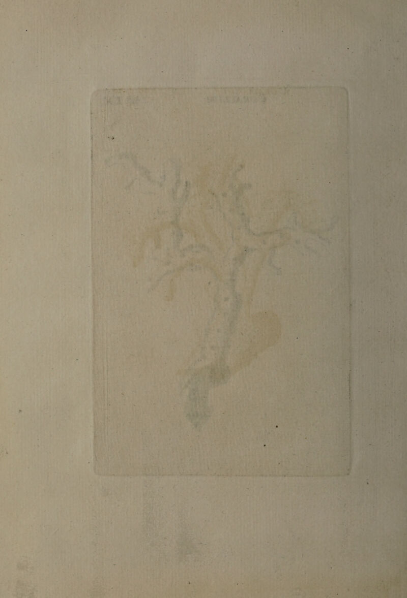 ' v~T-. * • • ~ r* - > - ! • h ' ■ ' . • ■ . _ - i . ■ . -