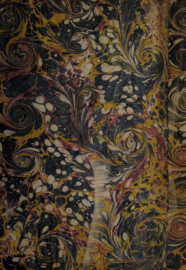 No text description is available for this image