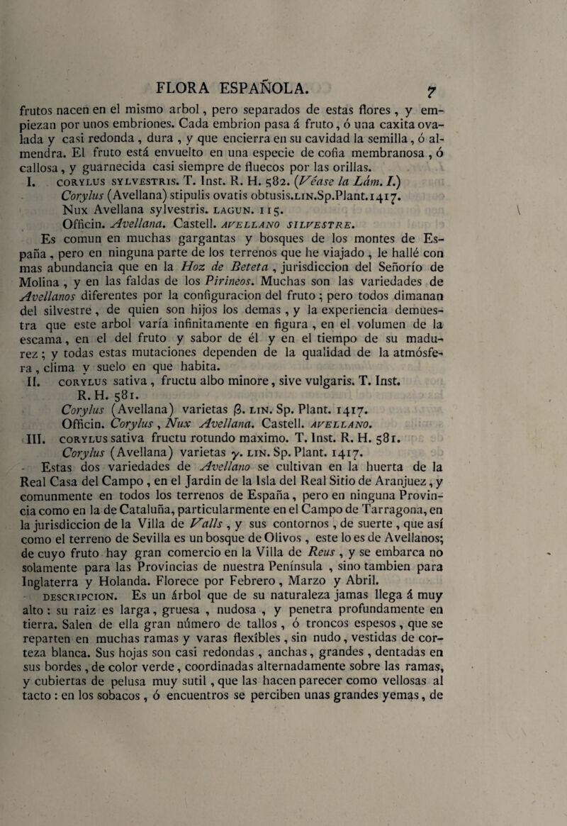 frutos nacen en el mismo árbol, pero separados de estas flores , y em¬ piezan por unos embriones. Cada embrión pasa á fruto, ó una caxita ova¬ lada y casi redonda , dura , y que encierra en su cavidad la semilla, ó al¬ mendra. El fruto está envuelto en una especie de cofia membranosa , ó callosa, y guarnecida casi siempre de fluecos por las orillas. I. corylus syLVESTRis. T. Inst. R. H. 582. {Véase la Lám. I.) Corylus (Avellana) stipulis ovatis 0btusis.LiN.Sp.PJant.1417. Nux Avellana sylvestris. lagun. i i 5. Officin. Avellana. Castell. avellano silvestre. Es común en muchas gargantas y bosques de los montes de Es¬ paña , pero en ninguna parte de los terrenos que he viajado , le hallé con mas abundancia que en la Hoz de Beteta , jurisdicción del Señorío de Molina , y en las faldas de los Pirineos. Muchas son las variedades de Avellanos diferentes por la configuración del fruto; pero todos dimanan del silvestre , de quien son hijos los demas , y la experiencia demues¬ tra que este árbol varía infinitamente en figura , en el volumen de la escama, en el del fruto y sabor de él y en el tiempo de su madu¬ rez ; y todas estas mutaciones dependen de la qualidad de la atmósfe¬ ra , clima y suelo en que habita. II. corylus sativa , fructu albo minore, sive vulgaris. T. Inst, R.H. 581. Corylus (Avellana) varietas |3. din. Sp. Plant. 1417. Officin. Corylus , Nux Avellana. Castell. avellano. III. corylus sativa fructu rotundo máximo. T. Inst. R. H. 581. Corylus (Avellana) varietas y. lin. Sp. Plant. 1417. Estas dos variedades de Avellano se cultivan en la huerta de la Real Casa del Campo , en el Jardín de la Isla del Real Sitio de Aranjuez, y comunmente en todos los terrenos de España, pero en ninguna Provin¬ cia como en la de Cataluña, particularmente en el Campo de Tarragona, en la jurisdicción de la Villa de Valls , y sus contornos , de suerte , que así como el terreno de Sevilla es un bosque de Olivos , este lo es de Avellanos; de cuyo fruto hay gran comercio en la Villa de Reus , y se embarca no solamente para las Provincias de nuestra Península , sino también para Inglaterra y Holanda. Florece por Febrero, Marzo y Abril. descripción. Es un árbol que de su naturaleza jamas llega á muy alto : su raiz es larga, gruesa , nudosa , y penetra profundamente en tierra. Salen de ella gran número de tallos , ó troncos espesos, que se reparten en muchas ramas y varas flexibles , sin nudo, vestidas de cor¬ teza blanca. Sus hojas son casi redondas , anchas, grandes , dentadas en sus bordes , de color verde, coordinadas alternadamente sobre las ramas, y cubiertas de pelusa muy sutil , que las hacen parecer como vellosas al tacto : en los sobacos , ó encuentros se perciben unas grandes yemas, de