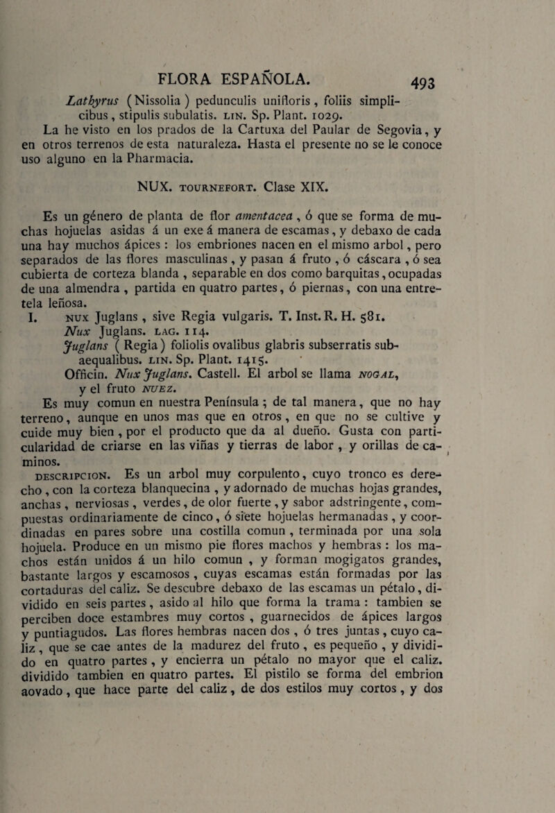 Lathyrus (Nissolia) pedunculis unifloris , foliis simpli- cibus, stipulis subulatis. lin. Sp. Plant. 1029. La he visto en los prados de la Cartuxa del Paular de Segovia, y en otros terrenos de esta naturaleza. Hasta el presente no se le conoce uso alguno en la Pharmacia. NUX. tournefort. Clase XÍX. Es un género de planta de flor amentácea , ó que se forma de mu¬ chas hojuelas asidas á un exe á manera de escamas, y debaxo de cada una hay muchos ápices : los embriones nacen en el mismo árbol, pero separados de las flores masculinas , y pasan á fruto , ó cáscara , ó sea cubierta de corteza blanda , separable en dos como barquitas, ocupadas de una almendra , partida en quatro partes, ó piernas, con una entre¬ tela leñosa. I. nux Juglans, sive Regia vulgaris. T. Inst. R. H. 581. Nux Juglans. lag. i 14. Juglans ( Regia) foliolis ovalibus glabris subserratis sub- aequalibus. lin. Sp. Plant. 1415. Officin. Nux Juglans. Castell. El árbol se llama nogal, y el fruto nuez. Es muy común en nuestra Península; de tal manera, que no hay terreno, aunque en unos mas que en otros, en que no se cultive y cuide muy bien , por el producto que da al dueño. Gusta con parti¬ cularidad de criarse en las viñas y tierras de labor , y orillas de ca¬ minos. descripción. Es un árbol muy corpulento, cuyo tronco es dere¬ cho , con la corteza blanquecina , y adornado de muchas hojas grandes, anchas , nerviosas , verdes, de olor fuerte , y sabor adstringente, com¬ puestas ordinariamente de cinco, ó siete hojuelas hermanadas , y coor¬ dinadas en pares sobre una costilla común , terminada por una sola hojuela. Produce en un mismo pie flores machos y hembras : los ma¬ chos están unidos á un hilo común , y forman mogigatos grandes, bastante largos y escamosos , cuyas escamas están formadas por las cortaduras del cáliz. Se descubre debaxo de las escamas un pétalo, di¬ vidido en seis partes , asido al hilo que forma la trama : también se perciben doce estambres muy cortos , guarnecidos de ápices largos y puntiagudos. Las flores hembras nacen dos , ó tres juntas, cuyo cá¬ liz , que se cae antes de la madurez del fruto , es pequeño , y dividi¬ do en quatro partes , y encierra un pétalo no mayor que el cáliz, dividido también en quatro partes. El pistilo se forma del embrión aovado, que hace parte del cáliz, de dos estilos muy cortos, y dos