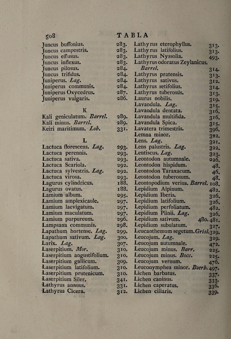 Juncus buffonius. 283. Lathyrus eterophyllus. 3T3* Juncus campestris. 283. Lathyrus latifolius. 3X3* Juncus effusus. 283. Lathyrus Nyssolia. 493. Juncus inflexus. 283. Lathyrus odoratus Zeylanicus. Juncus pilosus. 284. Barrel. 314. Juncus trifidus. 284. Lathyrus pratensis. 3l3* Juniperus. Lag. 284. Lathyrus sativus. 312. Juniperus communis. 284. Lathyrus setifolius. 3X4- Juniperus Oxycedrus. 287. Lathyrus tuberosüs. 313. Juniperus vulgaris. 286. Laurus nobilis. 3X9- Lavandula. Lag. 3TS. K Lavandula dentata. 316. Kali geniculatum. Barre!. 289. Lavandula multifida. 3X^. Kali minus. Barrel. 289. Lavandula Spica. 3J5. Keiri maritimum. Lob. 33r- Lavatera trimestris. 39^. Lemna minor. 322. L Lens. Lag. 321. Lactuca florescens. Lag. *93- Lens palustris. Lag. 322. Lactuca perennis. 293* Lentiscus. Lag. 323. Lactuca sativa. 293* Leontodón autumnale. 226. Lactuca Scariola. 292. Leontodón hispidum. 48. Lactuca sylvestris. Lag. 292. Leontodón Taraxacum. Lactuca virosa. 293- Leontodón tuberosum. a8. Lagurus cylindricus. 188. Leontopodium verius. Barrel. 108. Lagurus ovatus. 188. Lepidium Alpinum. 482. Lamium álbum. 295. Lepidium Iberis. 326. Lamium amplexicaule. 297. Lepidium latifolium. 32 6. Lamium laevigatum. 297. Lepidium perfoliatum. 482. ' Lamium maculatum. 297. Lepidium Plinii. Lag. 326. Lamium purpureum. 296. Lepidium sativum. 480.48 r. Lampsana communis. 298. Lepidium subulatum. ' 327. Lapathum hortense. Lag. 299. Leucanthemum segetum.Gm/.Q29. Lapathum sativum. Lag. 300. Leucojum, Lag. 329. Larix. Lag. 3°7- Leucojum autumnale. 472. Laserpitium. Mor. 310. Leucojum minus. Barr. 225. Laserpitium angustifolium. 3í°. Leucojum minus. Bocc. 225. Laserpitium gallicum. 3°9» Leucojum vernum. 476. Laserpitium latifolium. 3IQ. Leuconymphea minor. Boerh. 407. Laserpitium prutenicum. 3í°. Lichen barbatus. 337. Laserpitium Siler. 341* Lichen caninus. 333* Lathyrus annuus. 331- Lichen caperatus. 33^* Lathyrus Cícera, 312. Lichen ciliaris. 339*
