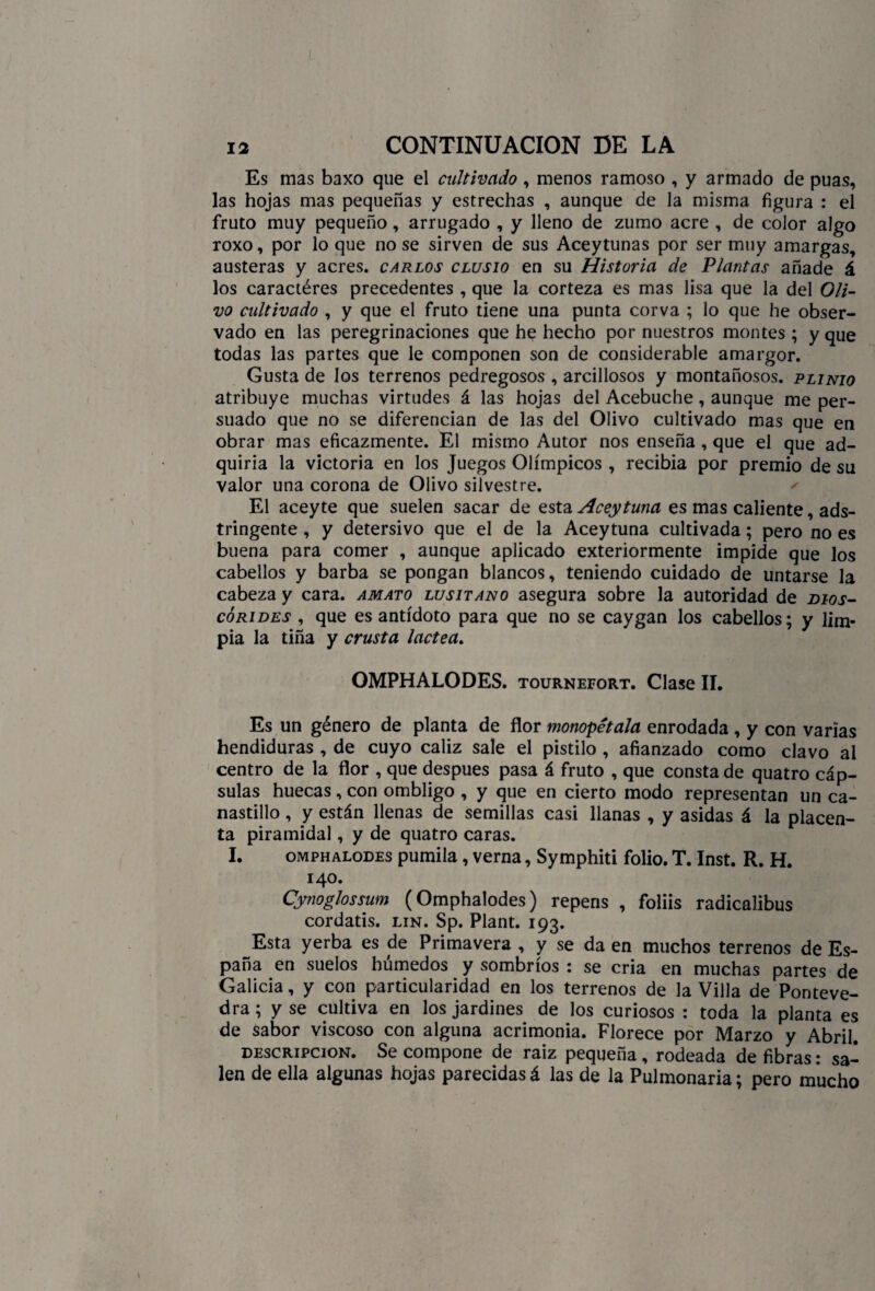 Es mas baxo que el cultivado, menos ramoso , y armado de púas, las hojas mas pequeñas y estrechas , aunque de la misma figura : el fruto muy pequeño, arrugado , y lleno de zumo acre , de color algo roxo, por lo que no se sirven de sus Aceytunas por ser muy amargas, austeras y acres, carlos clusio en su Historia de Plantas añade á los caractéres precedentes , que la corteza es mas lisa que la del Oli¬ vo cultivado , y que el fruto tiene una punta corva ; lo que he obser¬ vado en las peregrinaciones que he hecho por nuestros montes ; y que todas las partes que le componen son de considerable amargor. Gusta de los terrenos pedregosos , arcillosos y montañosos, plinio atribuye muchas virtudes á las hojas del Acebuche, aunque me per¬ suado que no se diferencian de las del Olivo cultivado mas que en obrar mas eficazmente. El mismo Autor nos enseña , que el que ad¬ quiría la victoria en los Juegos Olímpicos , recibía por premio de su valor una corona de Olivo silvestre. El aceyte que suelen sacar de esta Aceytuna es mas caliente, ads- tringente, y detersivo que el de la Aceytuna cultivada; pero no es buena para comer , aunque aplicado exteriormente impide que los cabellos y barba se pongan blancos, teniendo cuidado de untarse la cabeza y cara, amato lusitano asegura sobre la autoridad de mos¬ co ri des , que es antídoto para que no se caygan los cabellos; y lim¬ pia la tiña y crusta ladea. OMPHALODES. tournefort. Clase II. Es un género de planta de flor monopetala enrodada , y con varias hendiduras , de cuyo cáliz sale el pistilo , afianzado como clavo al centro de la flor , que después pasa á fruto , que consta de quatro cáp¬ sulas huecas, con ombligo , y que en cierto modo representan un ca¬ nastillo , y están llenas de semillas casi llanas , y asidas á la placen¬ ta piramidal, y de quatro caras. I. OMPHALODES pumila, verna, Symphiti folio. T. Inst. R. H. 140. Gynoglossum (Omphalodes) repens , foliis radicalibus cordatis. lin. Sp. Plant. 193. Esta yerba es de Primavera , y se da en muchos terrenos de Es¬ paña en suelos húmedos y sombríos : se cria en muchas partes de Galicia, y con particularidad en los terrenos de la Villa de Ponteve¬ dra ; y se cultiva en los jardines de los curiosos : toda la planta es de sabor viscoso con alguna acrimonia. Florece por Marzo y Abril. descripción. Se compone de raiz pequeña , rodeada de fibras: sa¬ len de ella algunas hojas parecidas á las de la Pulmonaria; pero mucho