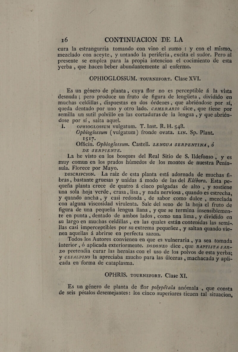 i6 CONTINUACION DE LA cura la estrangurria tomando con vino el zumo : y con el mismo, mezclado con aceyte, y untando la periferia, excita el sudor. Pero al presente se emplea para la propia intención el cocimiento de esta yerba , que hacen beber abundantemente al enfermo. OPHIOGLOSSUM. tournefort. Clase XVI. Es un género de planta, cuya flor no es perceptible á la vista desnuda ; pero produce un fruto de figura de lengüeta , dividido en muchas celdillas , dispuestas en dos órdenes , que abriéndose por sí, queda dentado por uno y otro lado, camerario dice, que tiene por semilla un sutil polvillo en las cortaduras de la lengua , y que abrién¬ dose por sí, salta aquel. I. ophioglossum vulgatum. T. Inst. R. H. 548. Opbioglossum (vulgatum) fronde ovata. lin. Sp. Plant. 1517- Officin. Ophioglossum. Castell. lengua serpentina , ó DE SERPIENTE. La he visto en los bosques del Real Sitio de S. Ildefonso , y es muy común en los prados húmedos de los montes de nuestra Penín¬ sula. Florece por Mayo. descripción. La raiz de esta planta está adornada de muchas fi¬ bras , bastante gruesas y unidas á modo de las del Eléboro. Esta pe¬ queña planta crece de quatro á cinco pulgadas de alto , y sostiene una sola hoja verde, crasa, lisa, y nada nerviosa, quando es estrecha, y quando ancha, y casi redonda , de sabor como dulce , mezclada* con alguna viscosidad virulenta. Sale del seno de la hoja el fruto de figura de una pequeña lengua llana, y que se termina insensiblemen¬ te en punta , dentado de ambos lados, como una lima, y dividido en su largo en muchas celdillas , en las quales están contenidas las semi-. lias casi imperceptibles por su extrema pequeñez, y saltan quando vie¬ nen aquellas á abrirse en perfecta sazón. TodosJos Autores convienen en que es vulneraria , ya sea tomada interior , ó aplicada exteriormente. dodoneo dice , que baptista sar¬ do pretendía curar las hernias con el uso de los polvos de esta yerba; y cesalpino la apreciaba mucho para las úlceras , machacada y apli¬ cada en forma de cataplasma. OPHRIS. tournefort. Clase XI. Es un género de planta de flor polypétala anómala , que consta de seis pétalos desemejantes: los cinco superiores tienen tal situación,