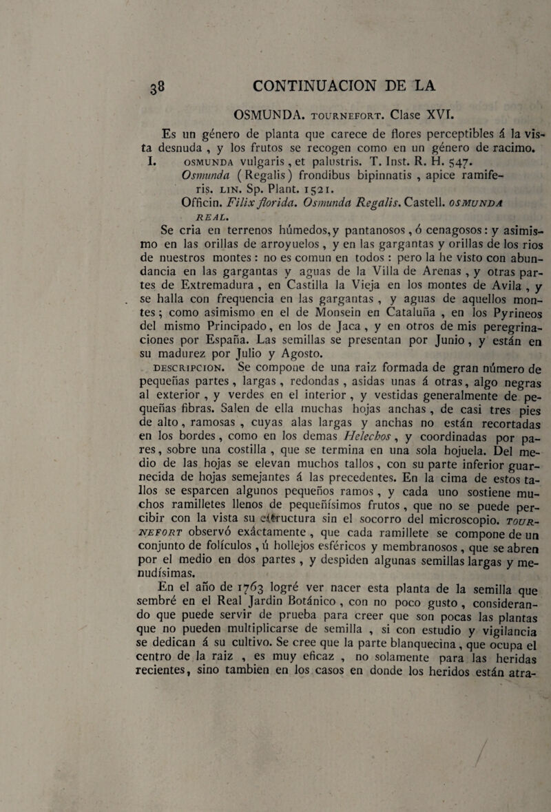 OSMUNDA. tournefort. Clase XVI. Es un género de planta que carece de flores perceptibles á la vis¬ ta desnuda , y los frutos se recogen como en un género de racimo. I. osmunda vulgaris, et palustris. T. Inst. R. H. 547- Osmunda (Regalis) frondibus bipinnatis , ápice ramife- ris. lin. Sp. Plant. 1521. Officin. Filix florida. Osmunda Regalis. Castell. osmunda REAL. Se cria en terrenos húmedos, y pantanosos , ó cenagosos: y asimis¬ mo en las orillas de arroyuelos , y en las gargantas y orillas de los rios de nuestros montes : no es común en todos : pero la he visto con abun¬ dancia en las gargantas y aguas de la Villa de Arenas , y otras par¬ tes de Extremadura , en Castilla la Vieja en los montes de Avila , y se halla con frequencia en las gargantas , y aguas de aquellos mon¬ tes ; como asimismo en el de Monsein en Cataluña , en los Pyrineos del mismo Principado, en los de Jaca , y en otros de mis peregrina¬ ciones por España. Las semillas se presentan por Junio, y están en su madurez por Julio y Agosto. descripción. Se compone de una raíz formada de gran número de pequeñas partes , largas , redondas , asidas unas á otras, algo negras al exterior , y verdes en el interior , y vestidas generalmente de pe¬ queñas fibras. Salen de ella muchas hojas anchas , de casi tres pies de alto, ramosas , cuyas alas largas y anchas no están recortadas en los bordes , como en los demas Heléchos, y coordinadas por pa¬ res , sobre una costilla , que se termina en una sola hojuela. Del me¬ dio de las hojas se elevan muchos tallos , con su parte inferior guar¬ necida de hojas semejantes á las precedentes. En la cima de estos ta¬ llos se esparcen algunos pequeños ramos , y cada uno sostiene mu¬ chos ramilletes llenos de pequeñísimos frutos , que no se puede per¬ cibir con la vista su eifcructura sin el socorro del microscopio, tour¬ nefort observó exactamente, que cada ramillete se compone de un conjunto de folículos , ú hollejos esféricos y membranosos, que se abren por el medio en dos partes, y despiden algunas semillas largas y me¬ nudísimas. En el año de 1763 logré ver nacer esta planta de la semilla que sembré en el Real Jardín Botánico , con no poco gusto , consideran¬ do que puede servir de prueba para creer que son pocas las plantas que no pueden multiplicarse de semilla , si con estudio y vigilancia se dedican á su cultivo. Se cree que la parte blanquecina, que ocupa el centro de la raiz , es muy eficaz , no solamente para las heridas recientes, sino también en los casos en donde los heridos están atra-