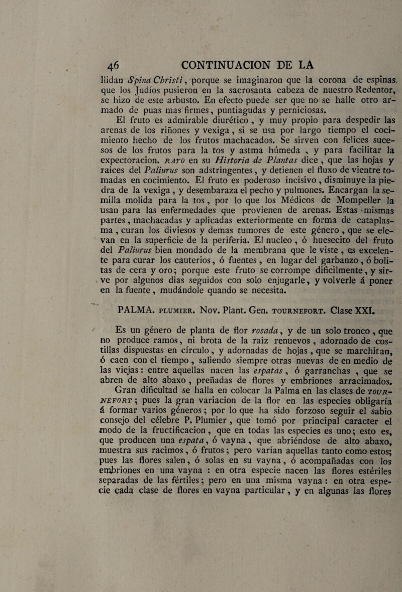 llidan Spina Christi, porque se imaginaron que la corona de espinas, que los Judíos pusieron en la sacrosanta cabeza de nuestro Redentor, se hizo de este arbusto. En efecto puede ser que no se halle otro ar¬ mado de púas mas firmes, puntiagudas y perniciosas. El fruto es admirable diurético , y muy propio para despedir las arenas de los riñones y vexiga , si se usa por largo tiempo el coci¬ miento hecho de los frutos machacados. Se sirven con felices suce¬ sos de los frutos para la tos y astma húmeda , y para facilitar la expectoración, rato en su Historia de Plantas dice , que las hojas y raíces del Paliurus son adstringentes, y detienen el fluxo de vientre to¬ madas en cocimiento. El fruto es poderoso incisivo , disminuye la pie¬ dra de la vexiga, y desembaraza el pecho y pulmones. Encargan la se¬ milla molida para la tos, por lo que los Médicos de Mompeller la usan para las enfermedades que provienen de arenas. Estas «mismas partes, machacadas y aplicadas exteriormente en forma de cataplas¬ ma , curan los diviesos y demas tumores de este género , que se ele¬ van en la superficie de la periferia. El núcleo , ó huesecito del fruto del Paliurus bien mondado de la membrana que le viste , es excelen¬ te para curar los cauterios, ó fuentes, en lugar del garbanzo , ó boli¬ tas de cera y oro; porque este fruto se corrompe difícilmente, y sir¬ ve por algunos dias seguidos con solo enjugarle, y volverle á poner en la fuente , mudándole quando se necesita. PALMA, plumier. Nov. Plant. Gen. tournefort. Clase XXL Es un género de planta de flor rosada, y de un solo tronco , que no produce ramos, ni brota de la raiz renuevos , adornado de cos¬ tillas dispuestas en círculo, y adornadas de hojas, que se marchitan, ó caen con el tiempo, saliendo siempre otras nuevas de en medio de las viejas: entre aquellas nacen las es'patas, ó garranchas , que se abren de alto abaxo , preñadas de flores y embriones arracimados. Gran dificultad se halla en colocar la Palma en las clases de tour¬ nefort ; pues la gran variación de la flor en las especies obligaría á formar varios géneros; por lo que ha sido forzoso seguir el sabio consejo del célebre P. Plumier , que tomó por principal carácter el modo de la fructificación, que en todas las especies es uno; esto es, que producen una espata, ó vayna , que abriéndose de alto abaxo, muestra sus racimos , ó frutos; pero varían aquellas tanto como estos; pues las flores salen, ó solas en su vayna, ó acompañadas con los embriones en una vayna : en otra especie nacen las flores estériles separadas de las fértiles; pero en una misma vayna : en otra espe¬ cie cada clase de flores en vayna particular, y en algunas las flores