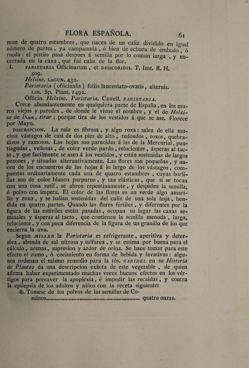 mun de quatro estambres, que nacen de un cáliz dividido en igual número de partes , ya campanuda , ó bien de echura de embudo^ ó rueda : el pistilo pasa después á semilla por lo común larga , y en¬ cerrada en la caxa , que fué cáliz de la flor. I. parietaria Ofñcinarum , et dioscoridis. T. Inst. R. H. 509. Helsine. lagun. 432. Parietaria (officinalis) foliis lanceolato-ovatis, alternis. LiN. Sp. Plant. 1492. Officin, Helxine. Parietaria. Castell. parietaria. Crece abundantemente en qualquiera parte de España, en los mu¬ ros viejos y paredes , de donde le viene el nombre , y el de Helxi¬ ne de ¡Xx.cc, tirar; porque tira de los vestidos á que se ase. Florece por Mayo. descripción. La raiz es fibrosa , y algo roxa: salen de ella mu¬ chos vástagos de casi de dos pies de alto , redondos , roxos, quebra¬ dizos y ramosos. Las hojas son parecidas á las de la Mercurial, pun¬ tiagudas , vellosas , de color verde pardo, relucientes , ásperas al tac¬ to , y que fácilmente se asen á los vestidos , y están sostenidas de largos pezones, y situadas alternativamente. Las flores son pequeñas, y na¬ cen de los encuentros de las hojas á lo largo de los vástagos, com¬ puestas ordinariamente cada una de quatro estambres , cuyas borli- llas son de color blanco purpureo , y tan elásticas , que si se tocan con una cosa sutil , se abren repentinamente, y despiden la semilla, ó polvo con ímpetu. El color de las flores es un verde algo amari¬ llo y roxo , y se hallan sostenidas del cáliz de una sola hoja, hen¬ dida en quatro partes. Quando las flores fértiles , y diferentes por la figura de las estériles están pasadas, ocupan su lugar las caxas se¬ minales y ásperas al tacto, que contienen la semilla menuda , larga, reluciente, y con poca diferencia de la figura de un granillo de los que encierra la uva. Según miller la Parietaria es refrigerante, aperitiva y deter¬ siva , abunda de sal nitrosa y sulfúrea , y se estima por buena para el cálculo, arenas, supresión y ardor de orina. Se hace tomar para este efecto el zumo , ó cocimiento en forma de bebida y lavativas : algu¬ nos ordenan el mismo remedio para la tos. garidel en su Historia de Plantas da una descripción exácta de este vegetable , de quien afirma haber experimentado muchas veces buenos efectos en los vér¬ tigos para precaver la apoplexía, é impedir las recaídas , y contra la epilepsia de los adultos y niños con la receta siguiente: -ty. Tómese de los polvos de las semillas de Co¬ minos. quatro onzas.