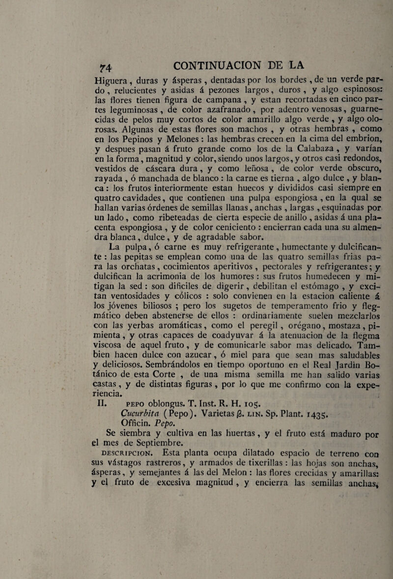 Higuera , duras y ásperas , dentadas por los bordes , de un verde par¬ do , relucientes y asidas á pezones largos, duros , y algo espinosos: las flores tienen figura de campana , y están recortadas en cinco par¬ tes leguminosas , de color azafranado , por adentro venosas, guarne¬ cidas de pelos muy cortos de color amarillo algo verde , y algo olo¬ rosas. Algunas de estas flores son machos , y otras hembras , como en los Pepinos y Melones : las hembras crecen en la cima del embrión, y después pasan á fruto grande como los de la Calabaza , y varían en la forma, magnitud y color,siendo unos largos,y otros casi redondos, vestidos de cáscara dura, y como leñosa , de color verde obscuro, rayada , ó manchada de blanco : la carne es tierna , algo dulce , y blan¬ ca : los frutos interiormente están huecos y divididos casi siempre en quatro cavidades, que contienen una pulpa espongiosa , en la qual se hallan varias órdenes de semillas llanas, anchas , largas , esquinadas por un lado, como ribeteadas de cierta especie de anillo , asidas á una pla¬ centa espongiosa , y de color ceniciento : encierran cada una su almen¬ dra blanca, dulce, y de agradable sabor. La pulpa, ó carne es muy refrigerante , humectante y dulcifican¬ te : las pepitas se emplean como una de las quatro semillas frías pa¬ ra las orchatas, cocimientos aperitivos , pectorales y refrigerantes; y dulcifican la acrimonia de los humores : sus frutos humedecen y mi¬ tigan la sed : son difíciles de digerir, debilitan el estómago , y exci¬ tan ventosidades y cólicos : solo convienen en la estación caliente á los jóvenes biliosos ; pero los sugetos de temperamento frió y fleg- mático deben abstenerse de ellos : ordinariamente suelen mezclarlos con las yerbas aromáticas, como el peregil , orégano, mostaza, pi¬ mienta , y otras capaces de coadyuvar á la atenuación de Ja flegma viscosa de aquel fruto, y de comunicarle sabor mas delicado. Tam¬ bién hacen dulce con azúcar, ó miel para que sean mas saludables y deliciosos. Sembrándolos en tiempo oportuno en el Real Jardín Bo¬ tánico de esta Corte , de una misma semilla me han salido varias castas, y de distintas figuras , por lo que me confirmo con la expe¬ riencia. II. pepo oblongus. T. Inst. R. H. 105. Cucúrbita (Pepo). Varietas /3. lin. Sp. Plant. 143$. Officin. Pepo. Se siembra y cultiva en las huertas, y el fruto está maduro por el mes de Septiembre. descripción. Esta planta ocupa dilatado espacio de terreno con sus vástagos rastreros, y armados de tixerillas : las hojas son anchas, ásperas, y semejantes á las del Melón: las flores crecidas y amarillas: y el fruto de excesiva magnitud , y encierra las semillas anchas.