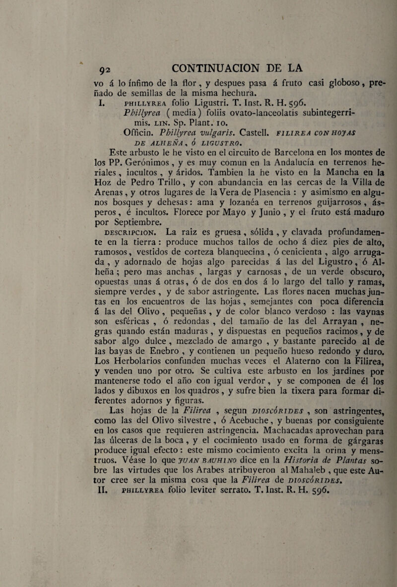 vo á lo ínfimo de la flor, y después pasa á fruto casi globoso, pre¬ ñado de semillas de la misma hechura. I. fhillyrea folio Ligustri. T. Inst. R. H. 596. Phillyrea ( media) foliis ovato-lanceolatis subintegerri- mis. lin. Sp. Plant. 10. Officin. Fhillyrea vulgaris. Castell. filirea con hojas DE ALHEÑA , Ó LIGUSTRO. Este arbusto le he visto en el circuito de Barcelona en los montes de los PP. Gerónimos , y es muy común en la Andalucía en terrenos he¬ ríales , incultos , y áridos. También la he visto en la Mancha en la Hoz de Pedro Trillo, y con abundancia en las cercas de la Villa de Arenas, y otros lugares de la Vera de Plasencia : y asimismo en algu¬ nos bosques y dehesas: ama y lozanéa en terrenos guijarrosos , ás¬ peros , é incultos. Florece por Mayo y Junio , y el fruto está maduro por Septiembre. descripción. La raíz es gruesa , sólida , y clavada profundamen¬ te en la tierra : produce muchos tallos de ocho á diez pies de alto, ramosos, vestidos de corteza blanquecina , ó cenicienta , algo arruga¬ da , y adornado de hojas algo parecidas á las del Ligustro, ó Al¬ heña ; pero mas anchas , largas y carnosas , de un verde obscuro, opuestas unas á otras, ó de dos en dos á lo largo del tallo y ramas, siempre verdes , y de sabor astringente. Las flores nacen muchas jun¬ tas en los encuentros de las hojas, semejantes con poca diferencia á las del Olivo , pequeñas , y de color blanco verdoso : las vaynas son esféricas , ó redondas , del tamaño de las del Arrayan , ne¬ gras quando están maduras, y dispuestas en pequeños racimos, y de sabor algo dulce , mezclado de amargo , y bastante parecido al de las bayas de Enebro , y contienen un pequeño hueso redondo y duro. Los Herbolarios confunden muchas veces el Alaterno con la Filirea, y venden uno por otro. Se cultiva este arbusto en los jardines por mantenerse todo el año con igual verdor , y se componen de él los lados y dibuxos en los quadros, y sufre bien la tixera para formar di¬ ferentes adornos y figuras. Las hojas de la Filirea , según dioscórides , son astringentes, como las del Olivo silvestre , ó Acebuche, y buenas por consiguiente en los casos que requieren astringencia. Machacadas aprovechan para las úlceras de la boca, y el cocimiento usado en forma de gárgaras produce igual efecto: este mismo cocimiento excita la orina y mens¬ truos. Véase lo que juan bauhino dice en la Historia de Plantas so¬ bre las virtudes que los Arabes atribuyeron al Mahaleb , que este Au¬ tor cree ser la misma cosa que la Filirea de dioscórides. II. phillyrea folio leviter serrato. T. Inst. R. H. 596.
