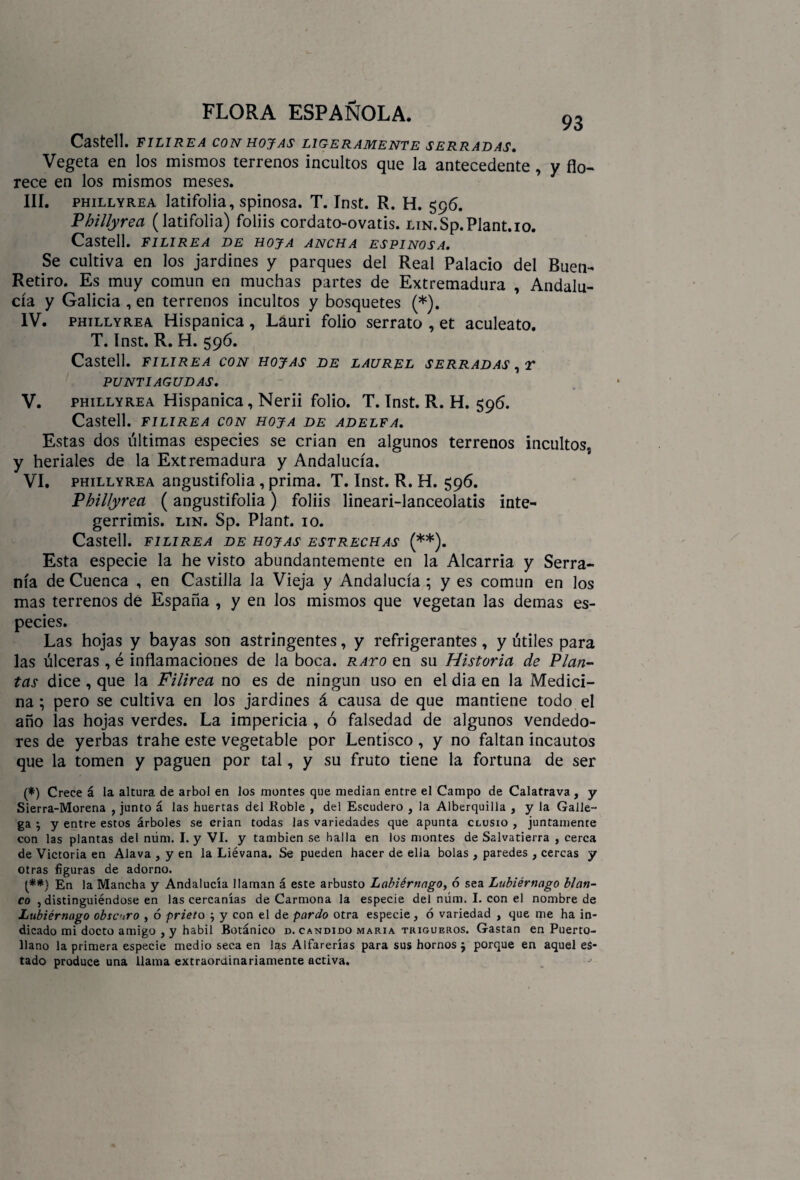 Castell. FILIREA CON HOJAS LIGERAMENTE SERRADAS. Vegeta en los mismos terrenos incultos que la antecedente , y flo¬ rece en los mismos meses. III. phillyrea latifolia, spinosa. T. Inst. R. H. 596. Phillyrea (latifolia) foliis cordato-ovatis. LiN.Sp.Plant.io, Castell. FILIREA DE HOJA ANCHA ESPINOSA. Se cultiva en los jardines y parques del Real Palacio del Buen- Retiro. Es muy común en muchas partes de Extremadura , Andalu¬ cía y Galicia , en terrenos incultos y bosquetes (*). IV. phillyrea Hispánica , Lauri folio serrato , et aculeato. T. Inst. R. H. 596. Castell. FILIREA CON HOJAS DE LAUREL SERRADAS , T PUNTIAGUDAS. V. phillyrea Hispánica, Nerii folio. T. Inst. R. H. 596. Castell. FILIREA CON HOJA DE ADELFA. Estas dos últimas especies se crian en algunos terrenos incultos, y heriales de la Extremadura y Andalucía. VI. phillyrea angustifolia , prima. T. Inst. R. H. 596. Vhillyrea (angustifolia) foliis lineari-lanceolatis inte- gerrimis. lin. Sp. Plant. 10. Castell. FILIREA DE HOJAS ESTRECHAS (**). Esta especie la he visto abundantemente en la Alcarria y Serra¬ nía de Cuenca , en Castilla la Vieja y Andalucía ; y es común en los mas terrenos de España , y en los mismos que vegetan las demas es¬ pecies. Las hojas y bayas son astringentes, y refrigerantes, y útiles para las úlceras , é inflamaciones de la boca, rato en su Historia de Plan¬ tas dice , que la Filirea no es de ningún uso en el dia en la Medici¬ na ; pero se cultiva en los jardines á causa de que mantiene todo el año las hojas verdes. La impericia , ó falsedad de algunos vendedo¬ res de yerbas trahe este vegetable por Lentisco , y no faltan incautos que la tomen y paguen por tal, y su fruto tiene la fortuna de ser (*) Crece á la altura de árbol en los montes que median entre el Campo de Calatrava , y Sierra-Morena , junto á las huertas del Roble , del Escudero , la Alberquilla , y la Galle¬ ga ; y entre estos árboles se crian todas las variedades que apunta clusio , juntamente con las plantas del núm. I. y VI. y también se halla en los montes de Salvatierra , cerca de Victoria en Alava , y en la Liévana. Se pueden hacer de ella bolas , paredes ; cercas y otras figuras de adorno. (*#) En la Mancha y Andalucía llaman á este arbusto Lubiérnago^ 6 sea Lubiérnago blan¬ co , distinguiéndose en las cercanías de Carmona la especie del núm. I. con el nombre de Lubiérnago obscuro , ó prieto $ y con el de pardo otra especie, ó variedad , que me ha in¬ dicado mi docto amigo , y hábil Botánico d. candido maria trigueros. Gastan en Puerto- llano la primera especie medio seca en las Alfarerías para sus hornos ¿ porque en aquel es¬ tado produce una llama extraordinariamente activa. j