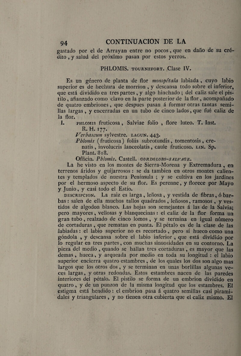 gastado por el de Arrayan entre no pocos, que en daño de su cré¬ dito , y salud del próximo pasan por estos yerros. PHLOMIS. tournefort. Clase IV. Es un género de planta de flor monopétala labiada , cuyo labio superior es de hechura de morrión , y descansa todo sobre el inferior, que está dividido en tres partes , y algo hinchado ; del cáliz sale el pis¬ tilo , afianzado como clavo en la parte posterior de la flor, acompañado de quatro embriones, que después pasan á formar otras tantas semi¬ llas largas , y encerradas en un tubo de cinco lados, que fué cáliz de la flor. I. phlomis fruticosa , Salviae folio , flore lúteo. T. Inst. R. H. 177. Verbciscum sylvestre. lagun. 443. Phlomis (fruticosa ) foliis subrotundis , tomentosis , cre- natis, involucris lanceolatis, caule fruticoso. lin. Sp. Plant. 318. Officin. Phlomis. Castell. gordolouo-salvage. La he visto en los montes de Sierra-Morena y Extremadura , en terrenos áridos y guijarrosos : se da también en otros montes calien¬ tes y templados de nuestra Península ; y se cultiva en los jardines por el hermoso aspecto de su flor. Es perenne, y florece por Mayo y Junio, y casi todo el Estío. descripción. La raiz es larga , leñosa , y vestida de fibras, ó bar¬ bas : salen de ella muchos tallos quadrados, leñosos, ramosos , y ves¬ tidos de algodón blanco. Las hojas son semejantes á las de la Salvia; pero mayores, vellosas y blanquecinas: el cáliz de la flor forma un gran tubo, realzado de cinco lomos , y se termina en igual número de cortaduras , que rematan en punta. El pétalo es de la clase de las labiadas: el labio superior no es recortado, pero sí hueco como una góndola , y descansa sobre el labio inferior , que está dividido por lo regular en tres partes, con muchas sinuosidades en su contorno. La pieza del medio , quando se hallan tres cortaduras , es mayor que las demas , hueca, y arqueada por medio en toda su longitud : el labio superior encierra quatro estambres , de los quales los dos son algo mas largos que los otros dos, y se terminan en unas borlillas algunas ve¬ ces largas, y otras redondas. Estos estambres nacen de las paredes interiores del pétalo. El pistilo se forma de un embrión dividido en quatro , y de un punzón de la misma longitud que los estambres. El estigma está hendido: el embrión pasa á quatro semillas casi pirami¬ dales y triangulares , y no tienen otra cubierta que el cáliz mismo. El
