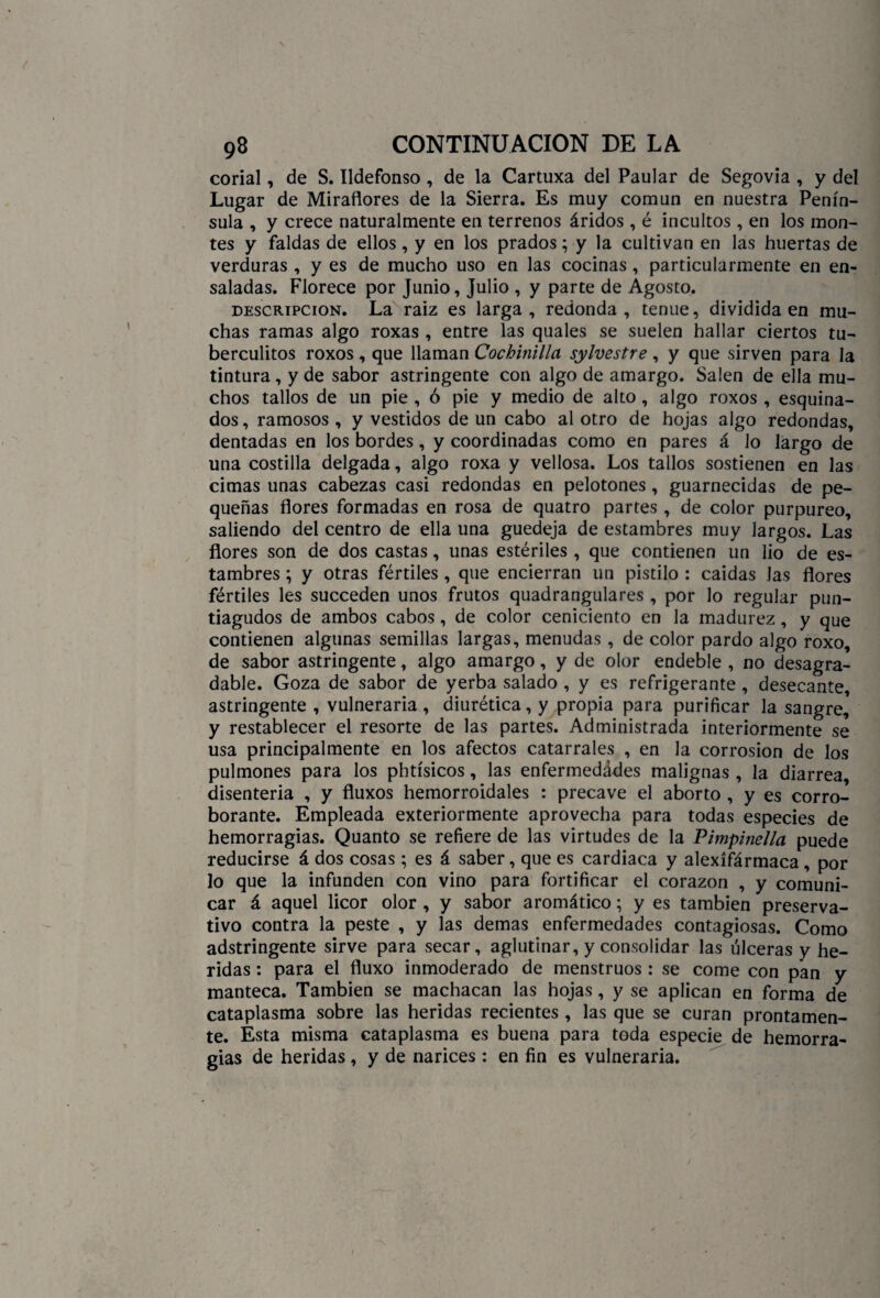 corial, de S. Ildefonso , de la Cartuxa del Paular de Segovia , y del Lugar de Miradores de la Sierra. Es muy común en nuestra Penín¬ sula , y crece naturalmente en terrenos áridos, é incultos, en los mon¬ tes y faldas de ellos, y en los prados; y la cultivan en las huertas de verduras , y es de mucho uso en las cocinas, particularmente en en¬ saladas. Florece por Junio, Julio , y parte de Agosto. descripción. La raiz es larga, redonda, tenue, dividida en mu¬ chas ramas algo roxas , entre las quales se suelen hallar ciertos tu- berculitos roxos, que llaman Cochinilla sylvestre, y que sirven para la tintura, y de sabor astringente con algo de amargo. Salen de ella mu¬ chos tallos de un pie , ó pie y medio de alto, algo roxos, esquina¬ dos , ramosos , y vestidos de un cabo al otro de hojas algo redondas, dentadas en los bordes, y coordinadas como en pares á lo largo de una costilla delgada, algo roxa y vellosa. Los tallos sostienen en las cimas unas cabezas casi redondas en pelotones, guarnecidas de pe¬ queñas flores formadas en rosa de quatro partes , de color purpureo, saliendo del centro de ella una guedeja de estambres muy largos. Las flores son de dos castas, unas estériles , que contienen un lio de es¬ tambres ; y otras fértiles, que encierran un pistilo : caídas las flores fértiles les succeden unos frutos quadrangulares , por lo regular pun¬ tiagudos de ambos cabos , de color ceniciento en la madurez , y que contienen algunas semillas largas, menudas, de color pardo algo roxo, de sabor astringente, algo amargo, y de olor endeble , no desagra¬ dable. Goza de sabor de yerba salado , y es refrigerante , desecante, astringente , vulneraria , diurética, y propia para purificar la sangre, y restablecer el resorte de las partes. Administrada interiormente se usa principalmente en los afectos catarrales , en la corrosión de los pulmones para los phtísicos, las enfermedádes malignas , la diarrea, disenteria , y fluxos hemorroidales : precave el aborto , y es corro¬ borante. Empleada exteriormente aprovecha para todas especies de hemorragias. Quanto se refiere de las virtudes de la Pimpinella puede reducirse á dos cosas; es á saber, que es cardiaca y alexífármaca, por lo que la infunden con vino para fortificar el corazón , y comuni¬ car á aquel licor olor , y sabor aromático; y es también preserva¬ tivo contra la peste , y las demas enfermedades contagiosas. Como adstringente sirve para secar, aglutinar, y consolidar las úlceras y he¬ ridas : para el fluxo inmoderado de menstruos : se come con pan y manteca. También se machacan las hojas, y se aplican en forma de cataplasma sobre las heridas recientes , las que se curan prontamen¬ te. Esta misma cataplasma es buena para toda especie de hemorra¬ gias de heridas , y de narices : en fin es vulneraria.