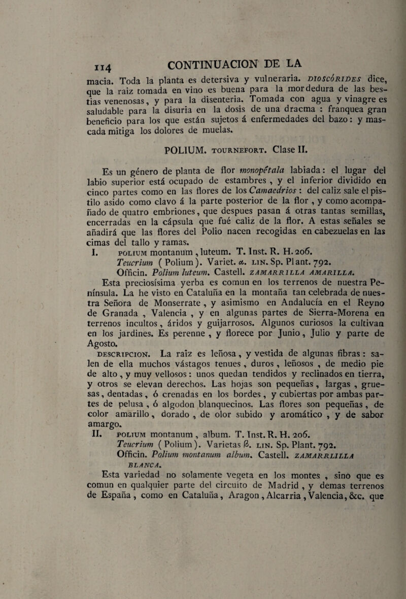 macia. Toda la planta es detersiva y vulneraria, dioscórides dice, que la raiz tomada en vino es buena para la mordedura de las bes¬ tias venenosas, y para la disenteria. Tomada con agua y vinagre es saludable para la disuria en la dosis de una dracma : franquea gran beneficio para los que están sujetos á enfermedades del bazo: y mas¬ cada mitiga los dolores de muelas. POL1UM. tournefort. Clase II. Es un género de planta de flor monopétala labiada: el lugar del labio superior está ocupado de estambres , y el inferior dividido en cinco partes como en las flores de los Camaedrios : del cáliz sale el pis¬ tilo asido como clavo á la parte posterior de la flor , y como acompa¬ ñado de quatro embriones, que después pasan á otras tantas semillas, encerradas en la cápsula que fué cáliz de la flor. A estas señales se añadirá que las flores del Polio nacen recogidas en cabezuelas en las cimas del tallo y ramas. I. polium montanum ,luteum. T. Inst. R. H.206. Teucrium (Polium). Variet. a, lin. Sp. Plant. 792. Officin. Polium luteum. Castell. zamarrilla amarilla. Esta preciosísima yerba es común en los terrenos de nuestra Pe¬ nínsula. La he visto en Cataluña en la montaña tan celebrada de nues¬ tra Señora de Monserrate , y asimismo en Andalucía en el Reyno de Granada , Valencia , y en algunas partes de Sierra-Morena en terrenos incultos, áridos y guijarrosos. Algunos curiosos la cultivan en los jardines. Es perenne , y florece por Junio, Julio y parte de Agosto. descripción. La raiz es leñosa, y vestida de algunas fibras: sa¬ len de ella muchos vástagos tenues , duros , leñosos , de medio pie de alto , y muy vellosos : unos quedan tendidos y reclinados en tierra, y otros se elevan derechos. Las hojas son pequeñas, largas , grue¬ sas , dentadas , ó crenadas en los bordes , y cubiertas por ambas par¬ tes de pelusa , ó algodón blanquecinos. Las flores son pequeñas , de color amarillo, dorado , de olor subido y aromático , y de sabor amargo. II. polium montanum, álbum. T. Inst. R. H. 206. Teucrium (Polium). Varietas lin. Sp. Plant. 792. Officin. Polium montanum álbum. Castell. zamarrlilla BLANCA. Esta variedad no solamente vegeta en los montes , sino que es común en qualquier parte del circuito de Madrid , y demas terrenos de España, como en Cataluña, Aragón , Alcarria , Valencia, &c. que