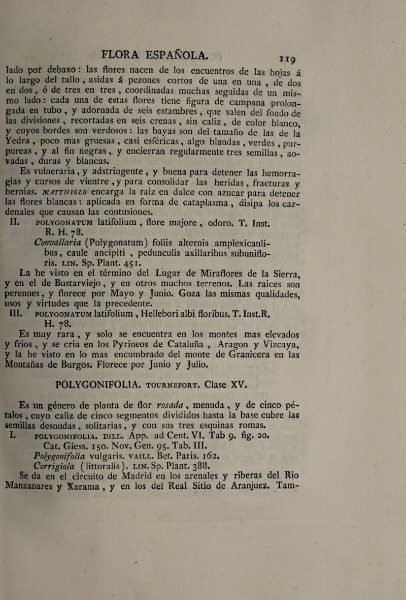 lado por debaxo: las flores nacen de los encuentros de las hojas á lo largo del tallo , asidas á pezones cortos de una en una , de dos en dos , ó de tres en tres , coordinadas muchas seguidas de un mis- mo lado: cada una de estas flores tiene figura de campana prolon¬ gada en tubo , y adornada de seis estambres, que salen del fondo de las divisiones, recortadas en seis crenas , sin cáliz, de color blanco y cuyos bordes son verdosos : las bayas son del tamaño de las de la Yedra , poco mas gruesas , casi esféricas, algo blandas , verdes , pur¬ pureas , y al fin negras, y encierran regularmente tres semillas’, ao¬ vadas , duras y blancas. Es vulneraria, y adstringente, y buena para detener las hemorra¬ gias y cursos de vientre , y para consolidar las heridas, fracturas y hernias, matthiolo encarga la raiz en dulce con azúcar para detener las flores blancas: aplicada en forma de cataplasma , disipa los car¬ denales que causan las contusiones. II. polygonatum latifolium , flore majore , odoro. T. Inst. R. H. 78. Convallaria (Polygonatum) foliis alternis amplexicauli- bus, caule ancipiti , pedunculis axillaribus subuniflo- ris. lin. Sp. Plant. 451. La he visto en el término del Lugar de Miradores de la Sierra, y en el de Bustarviejo, y en otros muchos terrenos. Las raíces son perennes, y florece por Mayo y Junio. Goza las mismas qualidades, usos y virtudes que la precedente. III. polygonatum latifolium , Hellebori albi floribus. T. Inst.R. H. 78. Es muy rara, y solo se encuentra en los montes mas elevados y fríos , y se cria en los Pyrineos de Cataluña , Aragón y Vizcaya, y la he visto en lo mas encumbrado del monte de Granicera en las Montañas de Burgos. Florece por Junio y Julio. POLYGONIFOLIA. tournefort. Clase XV. Es un género de planta de flor rosada, menuda , y de cinco pé¬ talos , cuyo cáliz de cinco segmentos divididos hasta la base cubre las semillas desnudas, solitarias, y con sus tres esquinas romas. I. POLYGONiFOLiA. dill. App. ad Cent. VI. Tab 9. fig. 20. Cat. Giess. 150. Nov, Gen. 95. Tab. III. Polygonifolia vulgaris. vaill. Bet. París. 162. Corrigiola (littoralis). lin. Sp. Plant. 388, Se da en el circuito de Madrid en los arenales y riberas del Rio Manzanares y Xarama, y en los del Real Sitio de Aranjuez. Tam-