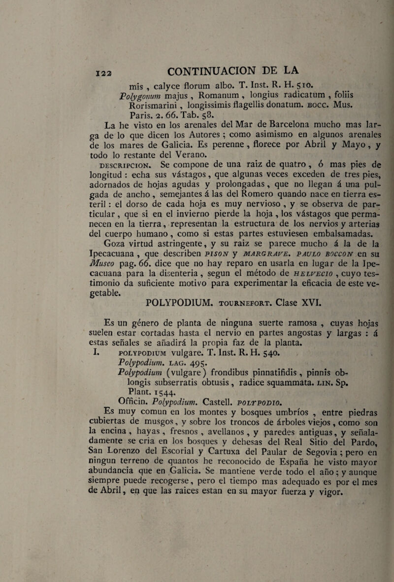 mis , calyce florum albo. T. Inst. R. H. 510. Polygonum majus , Romanum , longius radicatum , foliis Rorismarini , longissimis flagellis donatum. bocc. Mus. París. 2. 66. Tab. 58. La he visto en los arenales del Mar de Barcelona mucho mas lar¬ ga de lo que dicen los Autores; como asimismo en algunos arenales de los mares de Galicia. Es perenne , florece por Abril y Mayo, y todo lo restante del Verano. descripción. Se compone de una raíz de quatro, ó mas pies de longitud : echa sus vástagos, que algunas veces exceden de tres pies, adornados de hojas agudas y prolongadas , que no llegan á una pul¬ gada de ancho , semejantes á las del Romero quando nace en tierra es¬ téril : el dorso de cada hoja es muy nervioso , y se observa de par¬ ticular , que si en el invierno pierde la hoja, los vástagos que perma¬ necen en la tierra, representan la estructura de los nervios y arterias del cuerpo humano, como si estas partes estuviesen embalsamadas. Goza virtud astringente, y su raiz se parece mucho á la de la Ipecacuana , que describen pisón y margrave. paulo boccon en su Museo pag. 66. dice que no hay reparo en usarla en lugar de la Ipe¬ cacuana para la disenteria, según el método de helvecio , cuyo tes¬ timonio da suficiente motivo para experimentar la eficacia de este ve¬ getable. POLYPODIUM. tournefort. Clase XVI. Es un género de planta de ninguna suerte ramosa , cuyas hojas suelen estar cortadas hasta el nervio en partes angostas y largas : á estas señales se añadirá la propia faz de la planta. I. POLYPODIUM vulgare. T. Inst. R. H. 540. Polypodium. lag. 495. Polypodium (vulgare) frondibus pinnatifidis , pinnis ob- longis subserratis obtusis , radice squammata. lin. Sp. Plant. 1544. Officin. Polypodium. Castell. POLrpomo. Es muy común en los montes y bosques umbríos , entre piedras cubiertas de musgos, y sobre los troncos de árboles viejos, como son la encina , hayas , fresnos , avellanos , y paredes antiguas, y señala¬ damente se cria en los bosques y dehesas del Real Sitio del Pardo, San Lorenzo del Escorial y Cartuxa del Paular de Segovia ; pero en ningún terreno de quantos he reconocido de España he visto mayor abundancia que en Galicia. Se mantiene verde todo el año; y aunque siempre puede recogerse, pero el tiempo mas adequado es por el mes de Abril, en que las raices están en su mayor fuerza y vigor. . ■!