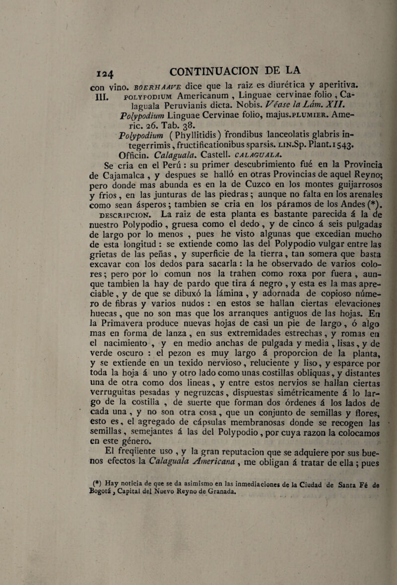 con vino, eoerhaave dice que la raiz es diurética y aperitiva. III. polypodium Americanum , Linguae cervinae folio , Ca- laguala Peruvianis dicta. Nobis. Véase la Lám. XII. Polypodium Linguae Cervinae folio, majus.PLUMiER. Ame- ric. 26. Tab. 38. Polypodium ( Phyllitidis ) frondibus lanceolatis glabris in- tegerrimis, fructificationibus sparsis. LiN.Sp. Plant. 1543. Officin. Calaguala. Castell. calaguala. Se cria en el Perú : su primer descubrimiento fué en la Provincia de Cajamalca , y después se halló en otras Provincias de aquel Reyno; pero donde mas abunda es en la de Cuzco en los montes guijarrosos y fríos , en las junturas de las piedras; aunque no falta en los arenales como sean ásperos; también se cria en los páramos de los Andes(*). descripción. La raiz de esta planta es bastante parecida á la de nuestro Poly podio, gruesa como el dedo, y de cinco á seis pulgadas de largo por lo menos , pues he visto algunas que excedían mucho de esta longitud : se extiende como las del Polypodio vulgar entre las grietas de las peñas , y superficie de la tierra, tan somera que basta excavar con los dedos para sacarla: la he observada de varios colo¬ res ; pero por lo común nos la trahen como roxa por fuera , aun¬ que también la hay de pardo que tira á negro , y esta es la mas apre¬ ciable , y de que se dibuxó la lámina , y adornada de copioso núme¬ ro de fibras y varios nudos : en estos se hallan ciertas elevaciones huecas, que no son mas que los arranques antiguos de las hojas. En la Primavera produce nuevas hojas de casi un pie de largo, ó algo mas en forma de lanza, en sus extremidades estrechas, y romas en el nacimiento , y en medio anchas de pulgada y media , lisas, y de verde oscuro : el pezón es muy largo á proporción de la planta, y se extiende en un texido nervioso, reluciente y liso, y esparce por toda la hoja á uno y otro lado como unas costillas obliquas, y distantes una de otra como dos lineas , y entre estos nervios se hallan ciertas verruguitas pesadas y negruzcas, dispuestas simétricamente á lo lar¬ go de la costilla , de suerte que forman dos órdenes á los lados de cada una , y no son otra cosa, que un conjunto de semillas y flores, esto es, el agregado de cápsulas membranosas donde se recogen las semillas , semejantes á las del Polypodio , por cuya razón la colocamos en este género. El freqiiente uso , y la gran reputación que se adquiere por sus bue¬ nos efectos la Calaguala Americana , me obligan á tratar de ella ; pues (*) Hay noticia de que se da asimismo en las inmediaciones de la Ciudad de Santa Fé de Bogotá, Capital del Nuevo Reyno de Granada.