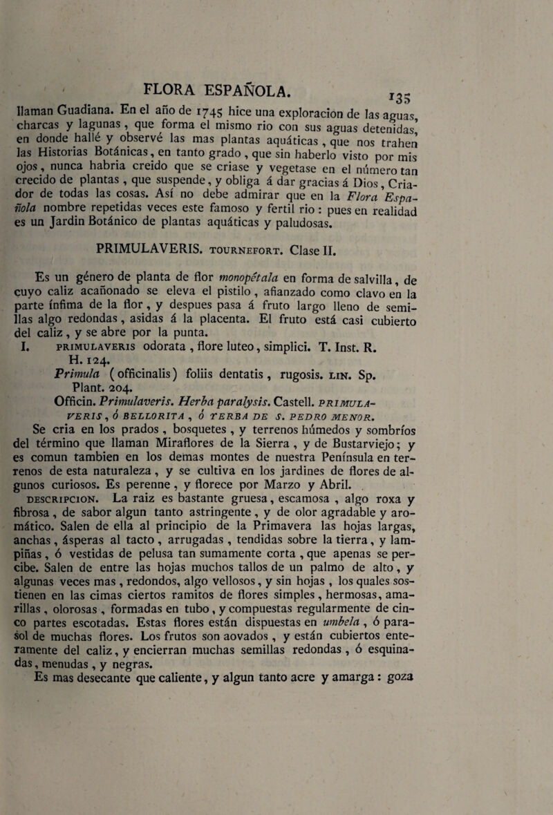 llaman Guadiana. En el año de 1745 hice una exploración de las aguas charcas y lagunas , que forma el mismo rio con sus aguas detenidas’ en donde hallé y observé las mas plantas aquáticas , que nos trahen las Historias Botánicas, en tanto grado , que sin haberlo visto por mis ojos, nunca habría creído que se criase y vegetase en el número tan crecido de plantas , que suspende, y obliga á dar gracias á Dios, Cria¬ dor de todas las cosas. Así no debe admirar que en la Flora ’Espa¬ ñola nombre repetidas veces este famoso y fértil rio : pues en realidad es un Jardín Botánico de plantas aquáticas y paludosas. PRIMULAVERIS. tournefort. Clase II. Es un género de planta de flor monopétala en forma de salvilla, de cuyo cáliz acañonado se eleva el pistilo, afianzado como clavo en la parte ínfima de la flor, y después pasa á fruto largo lleno de semi¬ llas algo redondas, asidas á la placenta. El fruto está casi cubierto del cáliz, y se abre por la punta. I. prímulaveris odorata , flore lúteo, simplici. T. Inst. R. H. 124. Prímula (officinalis) foliis dentatis , rugosis. lin. Sp. Plant. 204. Officin. Prímulaveris. Herba paralysis. Castell. prímula- veris , Ó BELL0R1T A , Ó TERBA DE S. PEDRO MENOR. Se cria en los prados , bosquetes , y terrenos húmedos y sombríos del término que llaman Miraflores de la Sierra , y de Bustarviejo; y es común también en los demas montes de nuestra Península en ter¬ renos de esta naturaleza, y se cultiva en los jardines de flores de al¬ gunos curiosos. Es perenne, y florece por Marzo y Abril. descripción. La raiz es bastante gruesa, escamosa , algo roxa y fibrosa , de sabor algún tanto astringente , y de olor agradable y aro¬ mático. Salen de ella al principio de la Primavera las hojas largas, anchas , ásperas al tacto , arrugadas , tendidas sobre la tierra, y lam¬ piñas , ó vestidas de pelusa tan sumamente corta , que apenas se per¬ cibe. Salen de entre las hojas muchos tallos de un palmo de alto, y algunas veces mas , redondos, algo vellosos, y sin hojas , los quales sos¬ tienen en las cimas ciertos ramitos de flores simples, hermosas, ama¬ rillas , olorosas , formadas en tubo, y compuestas regularmente de cin¬ co partes escotadas. Estas flores están dispuestas en umbela , ó para¬ sol de muchas flores. Los frutos son aovados, y están cubiertos ente¬ ramente del cáliz, y encierran muchas semillas redondas , ó esquina¬ das , menudas , y negras. Es mas desecante que caliente, y algún tanto acre y amarga: goza