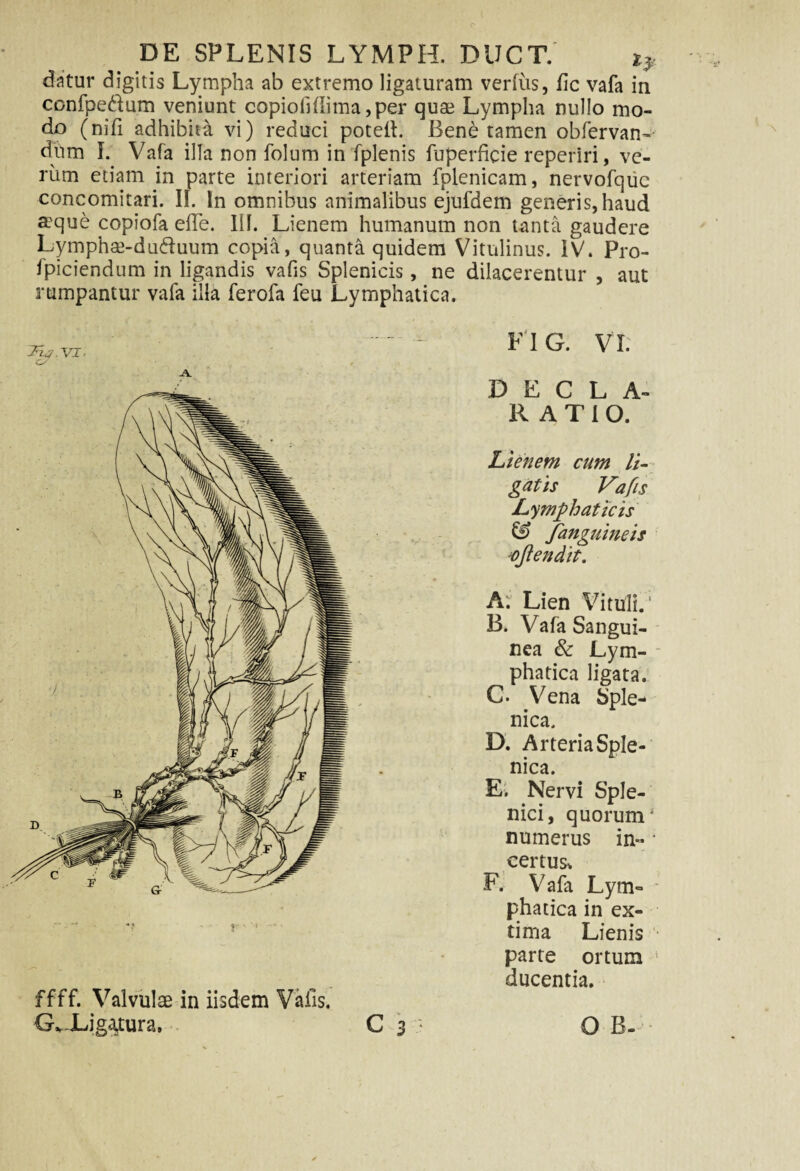 DE SPLENIS LYMFH. DIJCT. i? datur digitis Lympha ab extremo ligaturam verius, fic vafa in confpe&um veniunt copiofiffima,per quae Lympha nullo mo¬ do (nili adhibita vi) reduci potelt. Bene tamen obfervan- dum I. Vafa illa non folum in fplenis fuperficie reperiri, ve¬ rum etiam in parte interiori arteriam fplenicam, nervofqiic concomitari. II. In omnibus animalibus ejufdem generis, haud a?que copiofa ede. III. Lienem humanum non tanta gaudere Lymphse-du&uum copia, quanta quidem Vitulinus. IV. Pro¬ spiciendum in ligandis vafis Splenicis, ne dilacerentur , aut rumpantur vafa illa ferofa feu Lymphatica. y ' * F IG. Vi; D E C LA¬ II A T I O. Lienem cum li¬ gatis Vafis Lymphaticis & Janguineis ojiendit. A. Lien Vituli.’ B. Vafa Sangui¬ nea & Lym¬ phatica ligata. C. Vena Sple¬ nica. D. Arteria Sple¬ nica. E. Nervi Sple¬ nici, quorum* numerus in- * certus, F. Vafa Lym¬ phatica in ex¬ tima Lienis parte ortum ducentia. ffff. Valvulae in iisdem Vafis.