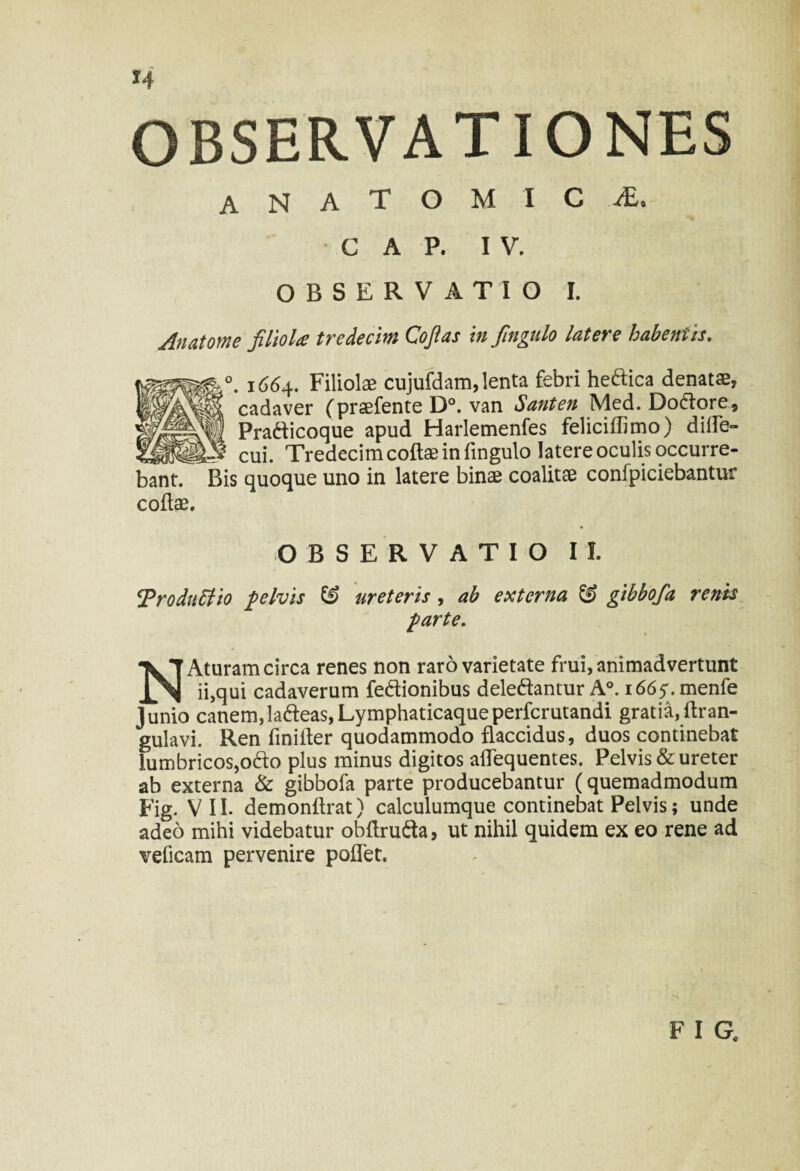 S4 OBSERVATIONES anatomica GAP. IV. OBSERVATIO I. Anatome filiola tredecim Cofias Infingulo latere habentis. 1664. Filiolae cujufdam, lenta febri hedica denatae, 1 cadaver ( praefente D°. van Santen Med. Dodore, Pradicoque apud Harlemenfes feliciflimo) difle- cui. Tredecim coftae infingulo latere oculis occurre¬ bant. Bis quoque uno in latere binae coalitae confpiciebantur coftae. OBSERVATIO II. Troduffto pelvis & ureteris, ab externa & gibbofa renis parte. NAturam circa renes non raro varietate frui, animadvertunt ii,qui cadaverum fedionibus deledantur A°. i665\menfe Junio canem,ladeas,Lymphaticaqueperfcrutandi gratia,ftran- gulavi. Ren fmiiter quodammodo flaccidus, duos continebat lumbricos,odo plus minus digitos affequentes. Pelvis & ureter ab externa & gibbofa parte producebantur (quemadmodum Fig. VII. demonflrat) calculumque continebat Pelvis; unde adeo mihi videbatur obftruda, ut nihil quidem ex eo rene ad veficam pervenire pollet.