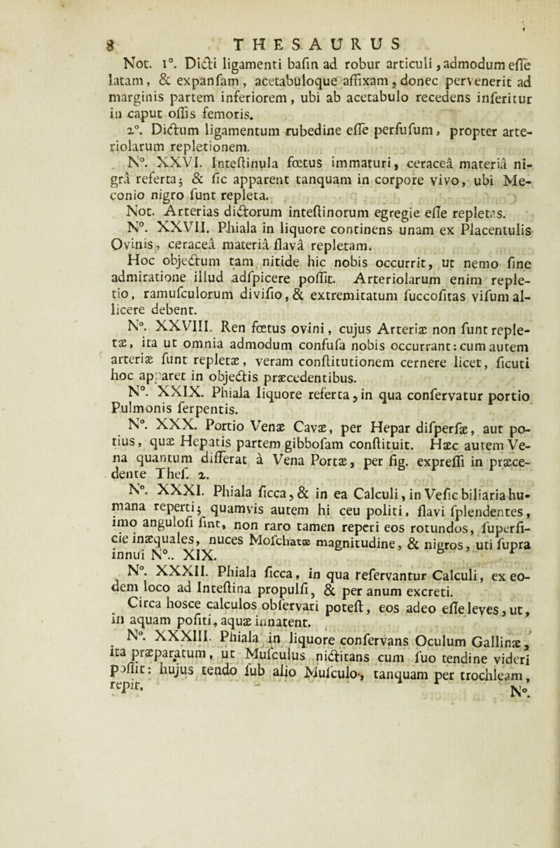 Not. i°. Didi ligamenti bafm ad robur articuli, admodum efie latam, & expanfam, acetabuloque affixam? donec pervenerit ad marginis partem inferiorem, ubi ab acetabulo recedens inferitur iu caput offis femoris* i°. Didum ligamentum rubedine effie perfufum, propter arte¬ riolarum repletionem. N°. XXVI. Inteftinula foetus immaturi, ceracea materia ni¬ gra referta5 & fic apparent tanquam in corpore vivo, ubi Me¬ conio nigro funt repleta. Not. Arterias didorum inteffinorum egregie efie repletas. N°. XXVII. Phiala in liquore continens unam ex Placentulis Ovinis, ceracea materia flava repletam. Hoc objedum tam nitide hic nobis occurrit, ut nemo fine admiratione illud adfpicere poffit. Arteriolarum enim reple¬ tio, ramufcuiorum divifio,& extremitatum fuccofitas vifum al¬ licere debent. N°. XXVIII. Ren foetus ovini, cujus Arterix non funt reple¬ tas, ita ut omnia admodum confufa nobis occurrant: cum autem arterix funt repletae, veram conflitutionem cernere licet, ficuti hoc apparet in objedis praecedentibus. N°. XXIX. Phiala liquore referta,in qua confervatur portio Pulmonis ferpentis. N°. XXX. Portio Venae Cavae, per Hepar difperfae, aut po¬ tius, quae Hepatis partem gibbofam conflituit. Haec autem Ve¬ na quantum differat a Vena Portae, per fig. expreffi in praece¬ dente Thef. 2. ^s°* ^XXI. Phiala ficca,& in ea Calculi,inVefcbiliariahu* mana reperti $ quamvis autem hi ceu politi, flavi fplendentes, imo angUiofi fmt, non raro tamen reperi eos rotundos, fuperfi- cie inxquales, nuces Mofchatse magnitudine, & niuros, utifupra innui N°.. XiX. & N. XXXII. Phiala ficca, in qua refervantur Calculi, ex eo¬ dem loco ad Inteflina propulfi? & per anum excreti. Circa hosce calculos oblervari potefl, eos adeo efie leves, ut, in aquam pofiti, aquae innatent. . ^°* ^^^111- Phiala in liquore confervans Oculum Gallinx, ita prxparatuni, ut Mufculus niditans cum fuo tendine videri paflit: hujus tendo iub alio Mulculo-, tanquam per trochleam, rtpir. k»