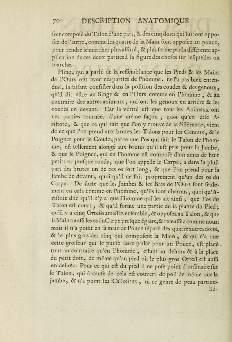 foit compofé du Talon d’une part, Se des cinq doits qui lui font oppo¬ sez de l’autre, comme les quatre de la Main fontoppofez au pouce, pour rendre le marcher plus alluré, 6c plus ferme par la differente ap¬ plication de ces deux parties à la figure des chofes fur lefquelles on marche. ~ ,• Pline, qui a parlé de la reffemblance que les Pieds 6c les Mains de l’Ours ont avec ces parties de l’homme, ne l’a pas bien enten¬ due, lafailant confi fier dans la pofition des coudes 6c des genoux, qu’il dit eftre au Singe 6c en l’Ours comme en l’homme , 6c au contraire des autres animaux, qui ont les genoux en arriére 6c les coudes en devant. Car la vérité eft que tous les Animaux ont ces parties tournées d’une même façon , quoi qu’en dife A- riftote j 6c que ce qui fait que l’on y trouve de la différence, vient de ce que l’on prend aux brutes les Talons pour les Genoux, 6c le Poignet pour le Coude j parce que l’os qui fait le Talon de l’hom¬ me, eft tellement alongé aux brutes qu’il eft pris pour la ïambe, 6c que le Poignet, qui en l’homme eft compofé d’un amas de huit petits os prefque ronds, que l’on appelle le Carpe, a dans la pluf- part des brutes un de ces os fort long, 6c que l’on prend pour la Jambe de devant, quoi qu’il ne foit proprement qu’un des os du Carpe. De forte que les Jambes 6c les Bras de l’Ours font feule¬ ment en cela comme en l’homme, qu’ils font charnus, quoiqu’A- riftote dife qu’il n’y a que l’homme qui les ait ainfi j que l’os du Talon eft court , 6c qu’il forme une partie de la plante du Pied* qu’il y a cinq Orteils amaffez enfemble, 6c oppofez au Talon j 6c que faMain a aullï les os duCarpe prefque égaux,6c ramaffez comme nous: mais il n’a point en fa main de Pouce féparé des quatre autres doits, 6c le plus gros des cinq qui compofent la Main , 6c qui n’a que cette groffeur qui le puifie faire paffer pour un Pouce, eft placé- tout au contraire qu’en l’homme , eftant au dehors 6c à la place du petit doit , de même qu’au pied où le plus gros Orteil eft aulli en dchots. Pour ce qui eft du pied il ne pofe point d’ordinaire fur le Talon, qui à caufe de cela eft couvert de poil de même que la jambe, 6c n’a point les Callofitcz , ni ce genre de peau particu,- lié-