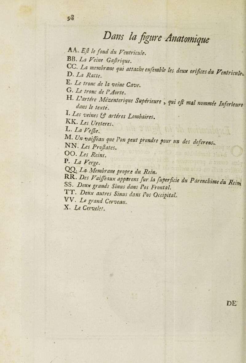 Dans la figure Anatomique AA. EJl le fond du Ventricule. BB. La Veinc Gafirique. ^LLaaZ,urme qU‘ amcbt^mhk hs d°«* orifices du Feutré E. Le tronc de la veine Cave. G. Le tronc de P Aorte. H' 2stZ/rerique Supérieure *?ïi * ml mmmée ***-. E Les veines (fi artères Lombaires. E-K. Les Uretercs. E. La VefiJie. M- L7„ •vaifieaH que Pon peut prendre pour un des déférons^ NN. Les Profitâtes. O O. Les Reins. P. La Verge. QQ: Da Membrane propre du Rein. RR. Z)« Faijfeaux apparent fur la fuperficie du Pmncbimedu Rcirù àb. Deux grands Sinus dans Pos Frontal. TT. Deux autres Sinus dans Pos Occipital, W • Le grand Cerveau. X. Le Cervelet. DE