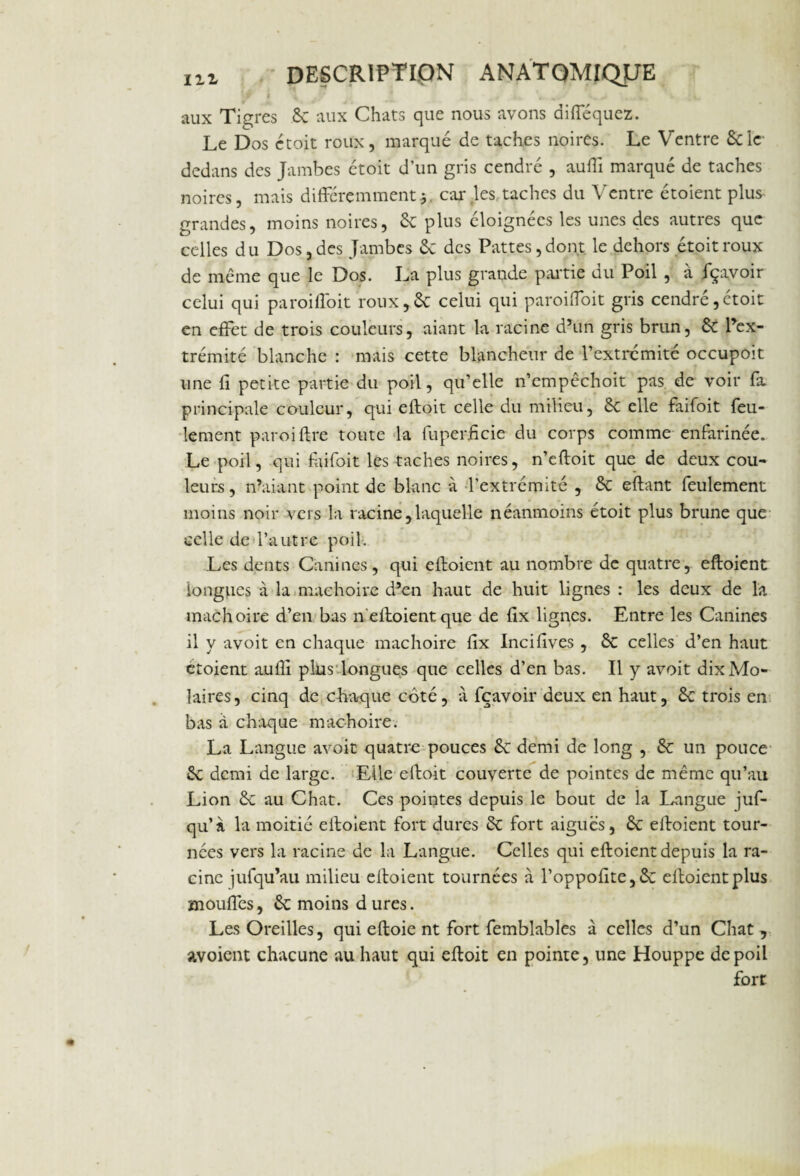 f f \ ./ .  .! • » V •/ '.. v aux Tigres 8c aux Chats que nous avons diflequez. Le Dos étoit roux, marqué de taches noires. Le Ventre Scie- dedans des Jambes étoit d’un gris cendré , aufli marqué de taches noires, mais différemment*. car les taches du Ventre étoient plus grandes, moins noires, 8c plus éloignées les unes des autres que celles du Dos, des Jambes 8c des Pattes, dont le dehors étoit roux de même que le Dos. La plus grande partie du Poil , à fçavoir celui qui paroiffoit roux,8c celui qui paroiffoit gris cendré,étoit en effet de trois couleurs, aiant la racine d’un gris brun, 8c Pex- trémité blanche : mais cette blancheur de l’extrémité occupoit une fi petite partie du poil, qu’elle n’empêchoit pas de voir fa principale couleur, qui eftoit celle du milieu, 8c elle faifoit feu¬ lement paroi lire toute la fuperficie du corps comme enfarinée. Le poil, qui faifoit les taches noires, n’eftoit que de deux cou¬ leurs , n’aiant point de blanc à l’extrémité , 8c eftant feulement moins noir vers la racine,laquelle néanmoins étoit plus brune que celle de l’autre poil. Les dents Canines, qui eftoient au nombre de quatre, eftoient longues à la mâchoire d’en haut de huit lignes : les deux de la mâchoire d’en bas n'eftoient que de fix lignes. Entre les Canines il y avoit en chaque mâchoire fix Incifives , 8c celles d’en haut etoient aufii plus1 longues que celles d’en bas. Il y avoit dix Mo¬ laires, cinq de chaque coté, à fçavoir deux en haut, 8c trois en bas à chaque mâchoire. La Langue avoit quatre pouces 8c demi de long , 8c un pouce 8c demi de large. Elle eftoit couverte de pointes de même qu’au Lion 8c au Chat. Ces pointes depuis le bout de la Langue juf- qu’à la moitié eftoient fort dures 8c fort aiguës, 8c eftoient tour¬ nées vers la racine de la Langue. Celles qui eftoient depuis la ra¬ cine jufqu’au milieu eftoient tournées à l’oppofite,8c eftoient plus moufles, 8c moins dures. Les Oreilles, qui eftoie nt fort femblables à celles d’un Chat, avoient chacune au haut qui eftoit en pointe, une Houppe de poil fort