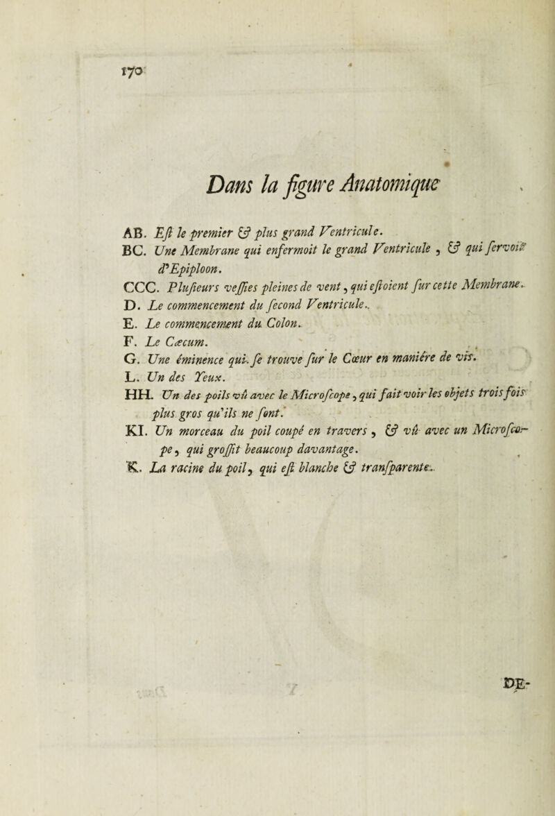 4 iyo Dans la figure Anatomique AB. EJl le premier & plus grand Ventricule. BC. Une Membrane qui enferrnoit le grand Ventricule , 13 qui fer voir d9 Epiploon. CCC. Plufieurs veffies pleines de vent 5 qui efi oient fur cette Membrane- D. Le commencement du fécond Ventricule.. E. Le commencement du Colon.. F. Le Cæcum. G. Une éminence qui. fe trouve fur le Cœur en manière de vis. L. Un des Yeux. HH. Un des poils vii avec le Aficrofcope, qui fait voir les objets trois fois plus gros qu'ils ne fonti KL Un morceau du poil coupé en travers , & vu- avec un Microficar¬ pe , qui groffit beaucoup davantage. K. La racine du poif qui ejl blanche & tranfparente.. DE-
