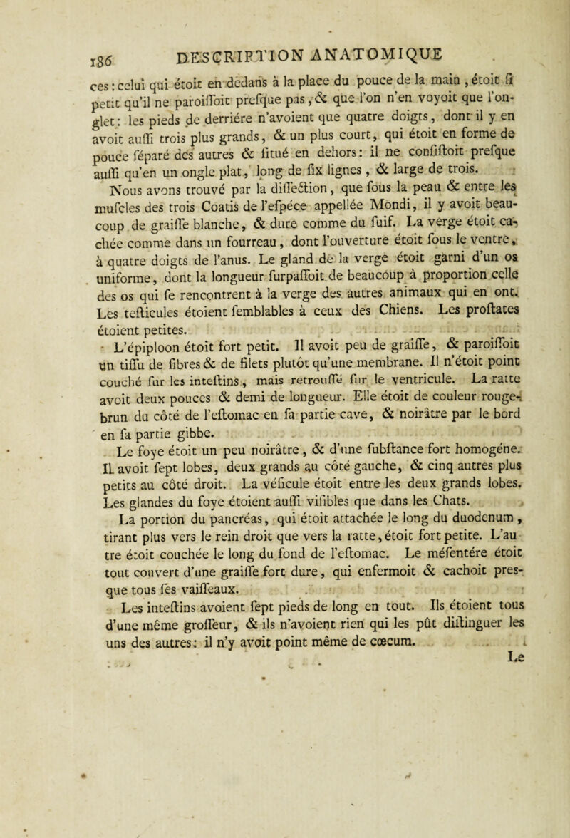 cgs ; celui qui étoit en dedans a. la place du pouce de la main , etoit fi peti'c qu’il ne paroiflbit prefque pas ,& que l’on n’en voyoit que l’on- glet : les pieds de derrière n’avoient que quatre doigts, dont il y en avoit au(Ti trois plus grands, & un plus court, qui étoit en forme de pouce féparé des autres & fitué en dehors: il ne confiftort prefque auffi qu’en un ongle plat, long de fix lignes, & large de trois. Nous avons trouvé par la difleélion, que fous la peau & entre les mufcles des trois Coatis de l’efpéce appellée Mondi, il y avoit beau¬ coup de graifle blanche, & dure comme du fuif. La verge étoit ca-> chée comme dans un fourreau, dont l’ouverture étoit fous le ventre, à quatre doigts de l’anus. Le gland de la verge étoit garni d’un os uniforme, dont la longueur furpalfoit de beaucoup à proportion celle des os qui fe rencontrent à la verge des autres animaux qui en ont. Les tefticules étoient femblables à ceux des Chiens. Les proftates étoient petites. L’épiploon étoit fort petit. 11 avoit peu de graifle, & paroiflbit un tiflfu de fibres & de filets plutôt qu’une membrane. Il n’étoit point couché fur les inteflins, mais retroufle fur le ventricule. La ratte avoit deux pouces & demi de longueur. Elle étoit de couleur rouge-, brun du côté de l’eftomac en fa partie cave, & noirâtre par le bord en fa partie gibbe. Le foye étoit un peu noirâtre , & d’une fubflance fort homogène. IL avoit fept lobes, deux grands au côté gauche, & cinq autres plus petits au côté droit. La véhicule étoit entre les deux grands lobes. Les glandes du foye étoient auffi vifibles que dans les Chats. La portion du pancréas, qui étoit attachée le long du duodénum, tirant plus vers le rein droit que vers la ratte, étoit fort petite. L’au tre étoit couchée le long du fond de l’eflomac. Le méfentére étoit tout couvert d’une graifle fort dure, qui enfermoit & cachoit pres¬ que tous fes vaiffeaux. ' Les inteflins avoient fept pieds de long en tout. Ils étoient tous d’une même grofleur, & ils n’avoient rien qui les pût diflinguer les uns des autres : il n’y avoit point même de cæcum. Le