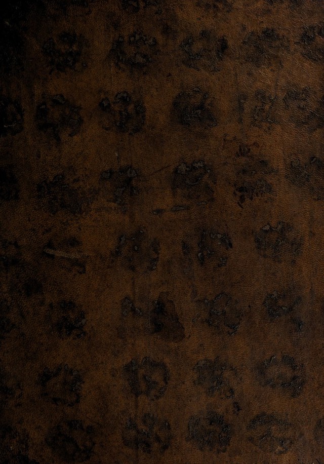 No text description is available for this image