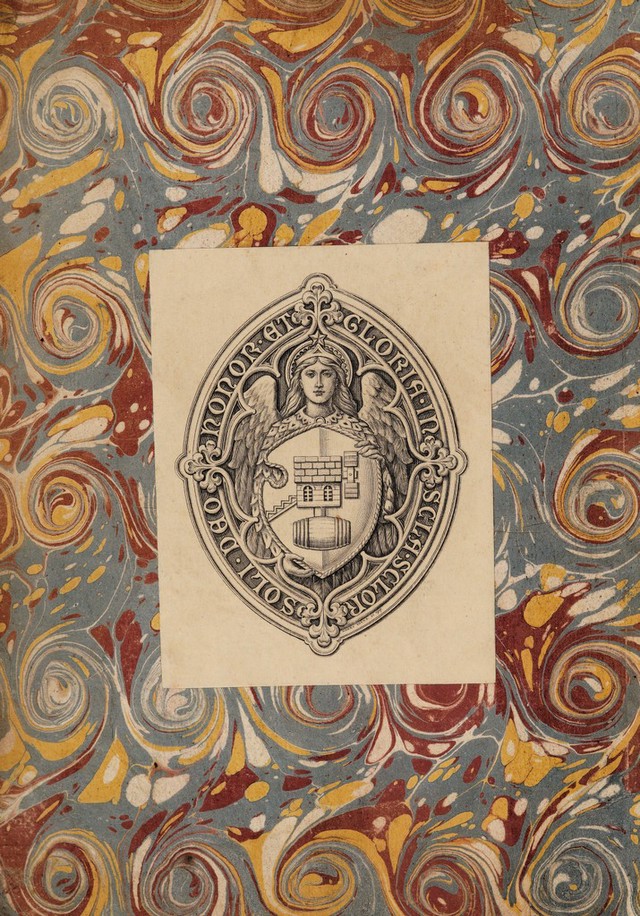 No text description is available for this image