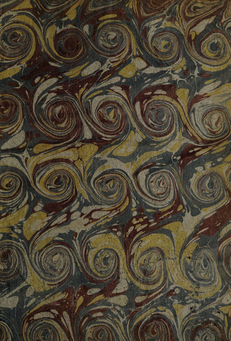 No text description is available for this image