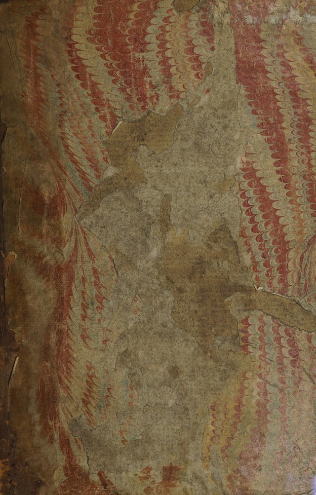 No text description is available for this image