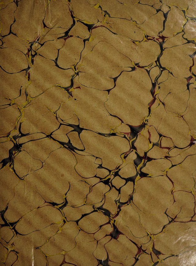digitised image 3