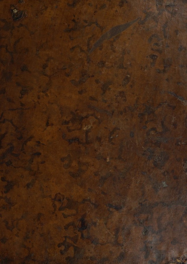 digitised image 1