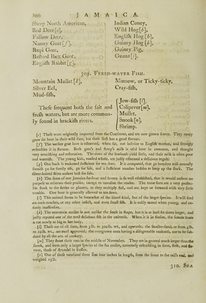 Sheep North American, Red DeerjY], Fallow Deer, Nanny Goatfy], Rtipi Goat, Baftard Ibex Goat, Engiifh Rabbit [gj, Indian Coney, Wild Hog[6], Engiifh Hog [6], Guiney Hog [6], Guiney Pig, Guana [/]. 309. Fresh-water Fish. Mountain Mullet [<£], Silver Eel, M ud-fifh, Minnow, or Ticky-ticky, Cray-fifli, Thefe frequent both the fait and frefh waters, but are more common¬ ly found in brackifh rivers. f Jew-fifh [/], \ Calipever[wl, j Mullet, I Snook [«], / Shrimp. [f] Thefe were originally imported from the Continent, and are now grown fcarce. They rarely grow fat here in their wild hate, but their flefh has a good flavour. [/■] The wether goat here is efteemed, when fat, not inferior to Engiifh mutton, and ftrongly -refembles it in flavour. Both goat’s and ffieep’s milk is tifed here in common, and thought very nourifhing and reftorative. The cows of the lowlands yield little, and their milk is often poor and waterifh. 'The young kids, roafted whole, are juftly elteemed a delicious regale. [£■] One buck is reckoned fufficient for ten does. It is computed, that 50 breeders will annually furnifh 50 for family ufe, 50 for fale, and a fufficient number befides to keep up the flock. The filver-haired fkins anlvver heft for fale. [b\ The fame of our Jamaica barbecue and brawn is fo well eflabllfhed, that it would anfwer no purpofe to reiterate their praifes, except to tantalize the reader. The tame forts are a very profita¬ ble flock to the fattier or planter, as they multiply faft, and are kept or fattened with very little trouble. One boar is generally allow ed to ten fovvs. [l] This animal feems to be fomewhat of the lizard kind, but of the larger fpecies. It will feed -on cock-roaches, or any other infedt, and even finall fiffi. It is eafily tamed wffien young, and en¬ tirely inoftenfive. [£} The mountain mullet is not unlike the finelt in fhape, but it is at lealt fix times larger, and juflly reputed one of the moil delicious fiffi in the univerle. When it is in feafon, the female bears a roe nearly as big as her body. [/J Thefe are of all lizes, from 3 lb. to 3001b. wf., and upwards; the fmaller-fized, or from 41b. to 10 lb. wt., are moil approved; the overgrown ones having a diiagreeable ranknefs, not to be fub- dued by all the arts of cookery. [m] They ffioot their roes in the middle of November. They are in general much larger than the fnook, and feem only a larger fpecies of the fea mullet, extremely refembling in form, fleffi, and fla¬ vour, thofe of Arundel in Suflex. [«] One of thefe meafured three feet four inches in length, from the fnout to the tail’s end, and weighed 331b. 310. Sea