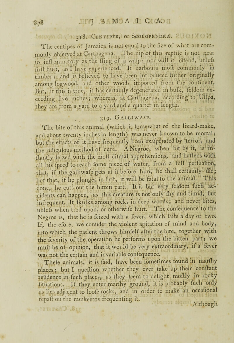 318. Centipes, or Scolopendra. The centipes of Jamaica is not equal to the fize of what are com¬ monly obfervedat Carthagena. The nip of this •reptile is not. near io inflammatory as the fling of a waf'p; .nor will it offend, uiflefs flrfl hurt, as I have experienced. It harbours, moft commonly in timber ; and is believed to have been introduced hither originally among logwood, and other woods imported from the continent. But, if this is true, it has certainly degenerated in bulk, feldom ex¬ ceeding .five inches; whereas, at Carthagena, according to Ullpa, they are from a yard to a yard and a quarter in length. 319. Galliwasp. The bite of this animal (which is fomewhat of the lizard-make, and about twenty inches in length) was never known to be mortal; but the efte&s of it have frequently been exafperated by terror, and the ridiculous method of cure. ANegroe, when bit by it, is in- flantly feized with the mofl difmal apprehenfions, and haftens with all his fpeed to reach fome piece of water, from a full perfuafion, that, if the galliwafp gets at it before him, he (hall certainly die; but that, if he plunges in firfl, it will be fatal to the animal. This done, he cuts out the bitten part. It is but very feldom fuch ac¬ cidents can happen, as this creature is not only fhy and timid, but infrequent. It Ikulks among rocks in deep woods; and never bites, unlefs when trod upon, or otherwife hurt. The confequence to the Negroe is, that he is feized with a fever, which lafts a day of two. If, therefore, we confider the violent agitation of mind and body, into which the patient throws himfelf after the bite, together with the feverity of the operation he performs upon the bitten part; we muft be of opinion, that it would be very extraordinary, if a fever was not the certain and invariable confequence. Thefe animals, it is faid, have been fometimes found in marfhy places; but I queflion whether they ever take up their conflant refidence in fuch places, as they fcem to delight moflly in rocky fituations. If they enter marfhy ground, it is probably fuch only as lies adjacent to loole rocks, and in order to make an occafional repafl on the mufkeetos frequenting it. * Although