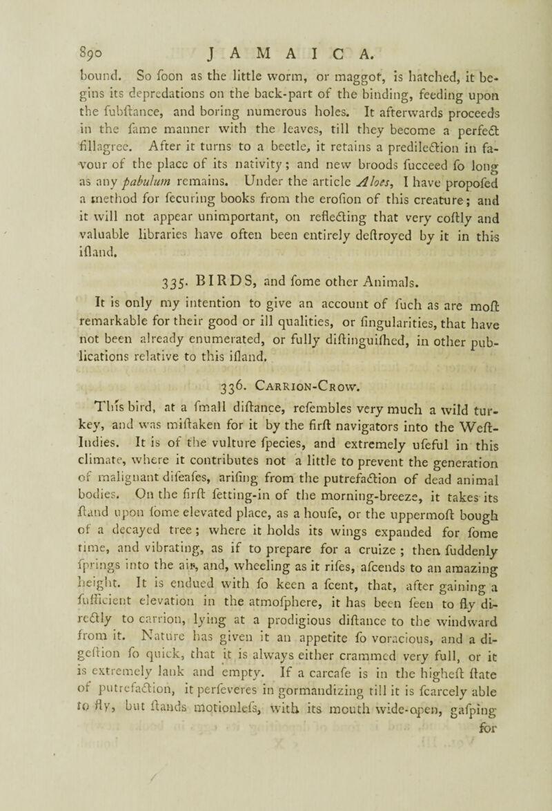 bound. So foon as the little worm, or maggot, is hatched, it be¬ gins its depredations on the back-part of the binding, feeding upon the fubftance, and boring numerous holes. It afterwards proceeds in the fame manner with the leaves, till they become a perfect filagree. After it turns to a beetle, it retains a prediledion in fa¬ vour of the place of its nativity; and new broods fucceed fo long as any pabulum remains. Under the article Aloes, I have propofed a method for fecuring books from the erofion of this creature; and it will not appear unimportant, on refleding that very coftly and valuable libraries have often been entirely deftroyed by it in this ifland. 335. BIRDS, and fome other Animals. It is only my intention to give an account of fuch as are moft remarkable for their good or ill qualities, or Angularities, that have not been already enumerated, or fully diftinguifhed, in other pub¬ lications relative to this ifland. 336. Carrion-Crow. This bird, at a fmall diftance, refembles very much a wild tur¬ key, and was miflaken for it by the firft navigators into the Weft- Indies. It is of the vulture fpecies, and extremely ufeful in this climate, where it contributes not a little to prevent the generation of malignant difeafes, arifing from the putrefadion of dead animal bodies. On the firft letting-in of the morning-breeze, it takes its ft and upon lome elevated place, as a houfe, or the uppermoft bough of a decayed tree ; where it holds its wings expanded for fome time, and vibrating, as if to prepare for a cruize ; then fuddenly fprings into the air, and, wheeling as it rifes, afcends to an amazing height. It is endued with fo keen a fcent, that, after gaining a fufficient elevation in the atmofphere, it has been feen to fly di- redly to carrion, lying at a prodigious diftance to the windward from it. Nature has given it an appetite fo voracious, and a di- geftion fo quick, that it is always either crammed very full, or it is extremely lank and empty. If a carcafe is in the higheft ftate ot putrefadion, it perfeveres in gormandizing till it is fcarcely able to fly, but Hands motionlefs, with its mouth wide-open, gafping for