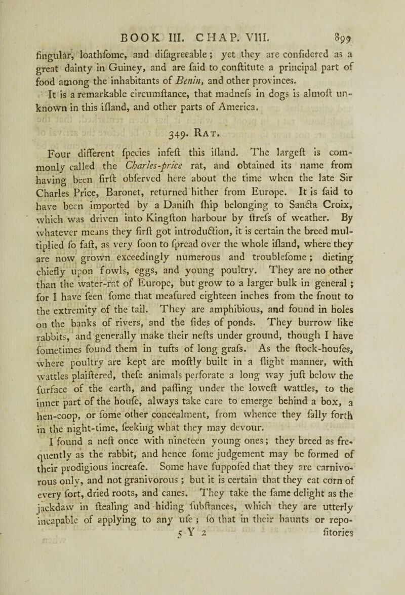 Angular, loathfome, and difagreeable; yet they are conlidered a3 a great dainty in Guiney, and are faid to conftitute a principal part of food among the inhabitants of Benin, and other provinces. It is a remarkable circumftance, that madnefs in dogs is altnoft un¬ known in this ifland, and other parts of America. 349. Rat. Four different fpeeies infeft this ifland. The largeft is com¬ monly called the Charles-price rat, and obtained its name from having been firfl: obferved here about the time when the late Sir Charles Price, Baronet, returned hither from Europe. It is faid to have been imported by a Danifli fliip belonging to Sanfla Croix, which was driven into Kingfton harbour by ftreis of weather. By whatever means they firfl got introdu&ion, it is certain the breed mul¬ tiplied fo faff, as very foon to fpread over the whole ifland, where they are now grown exceedingly numerous and troublefome ; dieting chiefly upon fowls, eggs, and young poultry. They are no other than the water-rat of Europe, but grow to a larger bulk in general ; for I have feen fome that meafured eighteen inches from the fnout to the extremity of the tail. They are amphibious, and found in holes on the banks of rivers, and the fides of ponds. They burrow like rabbits, and generally make their nefts under ground, though I have fometimes found them in tufts of long grafs. As the ftock-houfes, where poultry are kept are moftly built in a flight manner, with wattles plaiftered, thefe animals perforate a long way juft below the furface of the earth, and pafling under the loweft wattles, to the inner part of the houfe, always take care to emerge behind a box, a hen-coop, or fome other concealment, from whence they fally forth in the night-time, feeking what they may devour. I found a neft once with nineteen young ones; they breed as fre- quently as the rabbit, and hence fome judgement may be formed of their prodigious increafe. Some have fuppofed that they are carnivo¬ rous only, and not granivorous; but it is certain that they eat corn of every fort, dried roots, and canes. They take the fame delight as the jackdaw in ftealing and-hiding fubftances, which they are utterly incapable of applying to any ufe ; fo that in their haunts or repo- ; Y 2 fttories