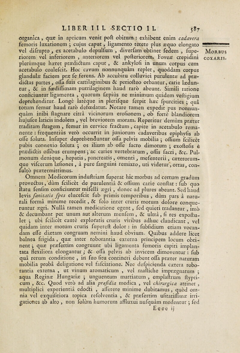 organica, quae in apricum venit pofi: obitum : exhibent enim cadavera femoris luxationem j cujus caput, ligamento terete plus aequo elongato vel difrupto j ex acetabulo depulfum , diverfam obtinet fedem , fupe- riorem vel inferiorem , anteriorem vel pofteriorem. Foveae crepidini plerumque haeret praediatum caput, & ankyloli in unum corpus cum acetabulo coalefcit. Hoc cavum nonnunquam replet, quoddam corpus glandulae faciem prae fe ferens. Ab accubitu colluviei purulentae ad prae- di<5tas partes j olTa fuis cartilaginibus & periofteo orbantur, carie laedun¬ tur , & in foedillimam putrilaginem haud raro abeunt. Simili ratione conficiuntur ligamenta , quorum faepius ne minimum quidem veltigium deprehenditur. Longe lateque in plerifque ferpit haec fpurcities j qua totum femur haud raro defoedatur. Notare tamen expedit pus nonnun¬ quam inibi ftagnare citra vicinorum erofionem , ob forte blandiorem hujufce laticis indolem , vel breviorem moram. Repetitur demiim pr^ter traditam ftragem , femur in cervice fradrum, capite in acetabulo rema¬ nente : frequentius vero occurrit in juniorum cadaveribus epiphyfis ab olfe foluta. Infuper deprehenduntur ofia pelvis mobilia \ ofiium fcilicet pubis connexio foluta ^ os ilium ab olle facro dimotum \ exoftofis e pra:did:is ollibus erumpens j’ac caries vertebrarum, ofiis facri, &c. Pul¬ monum denique, hepatis , pancreatis , omentimefenterii, CcTterorum- que vifcerum lasfiones , a pure fanguini remixto, uti videtur, ortas, con- fulto prsEtermittimus. Omnem Medicorum induftriam fuperat hic morbus ad certum gradum provedfus, dum fcilicet de purulentia «Sc offium carie confiat : fub quo ftatu fenfim conficiuntur mifelli a:gri, donec ad pliires abeant. Sed haud levis fanitatis fpes elucefcit fub primis temporibus , diim pars a natu¬ rali forma minime recedit, & folo inter cruris motum dolore conque¬ runtur asgri. Nulla tamen medicatione egent, fed quieti tradantur , imb & decumbant per unum aut alterum menf^m , &: ultra, fi res expofiu- let \ ubi fcilicet caute exploratis cruris viribus adhuc claudicant , vel quidam inter motum cruris fuperefi dolor : in fubfidium etiam vocan¬ dam efie diiEtam congruam nemini haud obvium. Quibus addere licet balnea frigida , quae inter roborantia externa principem locum obti¬ nent ; quae praefertim congruunt ubi ligamenta femoris capiti implan¬ tata flexiliora elongantur ; & ofia pelvis ab invicem dimoventur : fub qua rerum conditione , in fuo fitu contineri debent ofia prteter naturam mobilia proba deligatione vel fafeiatione. Nec defpicienda ca:tera robo¬ rantia externa , ut vinum aromaticum , vel mafiiche impnTgnatum ; aqua Reginae Hungariae j unguentum martiatum , emplaftrum fiypti- cum , &c. Quod vero ad alia pr&Jidia medica , vel chirurgica attinet , multiplici experientia edobti , alferere minime dubitamus, quod om¬ nia vel exquifitiora topica refolventia , & praefertim ufitatiflimae irri¬ gationes a^b altQ , non folum humorum aflluxui niifquam medentur j fed Morbus COXARIS.