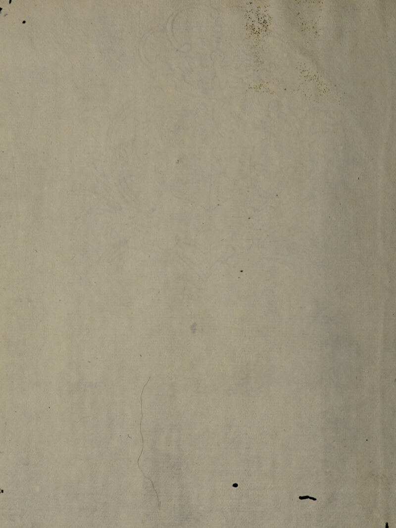 » r ✓ . • •• * / I . \