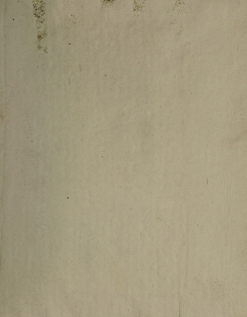 ■ *r:M- -fv • NS , ' • ->»• m- 'Vv ' \ h • •. v . i . •V- .- • ■ i \ N . - f /•