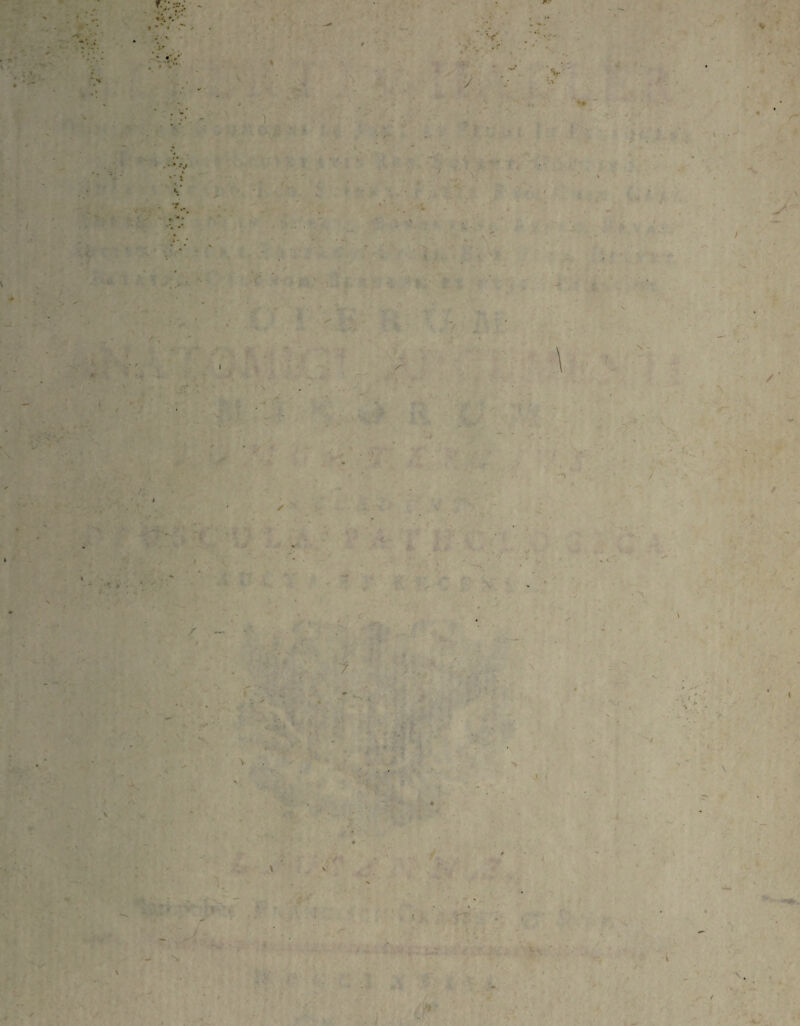 \ s ✓ / -1 ' / / v/- • - A / I \ V. /