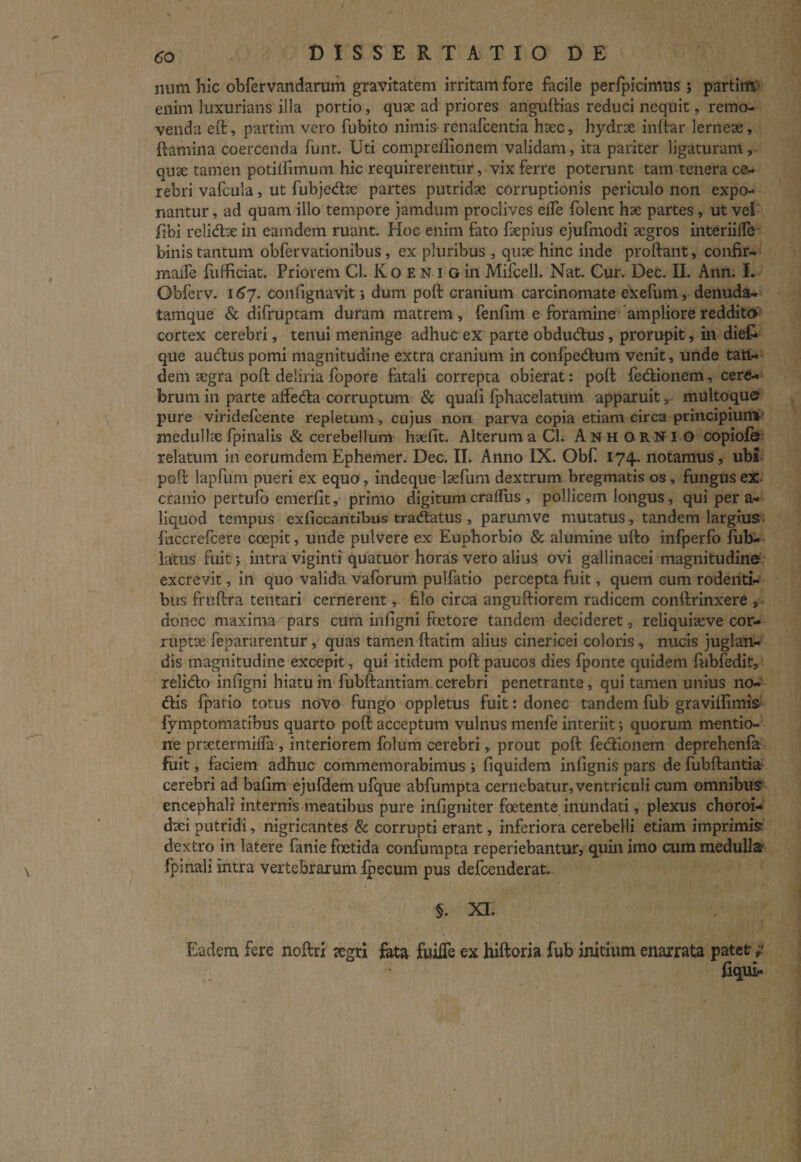 num hic obfervandarum gravitatem irritam fore facile perfpicinnis ; partim enim luxurians illa portio, quas ad priores anguftias reduci nequit, remo¬ venda eft, partim vero fubito nimis renafeentia fcec, hydrae inftar lerneae, flamina coercenda font. Uti compreflionem validam, ita pariter ligaturam, quse tamen potiifimum hic requirerentur, vix ferre poterunt tam tenera ce¬ rebri vafcula, ut fubjedae partes putridae corruptionis periculo non expo¬ nantur , ad quam illo tempore jamdum proclives elfe folent hae partes, ut vel libi relidte in eamdem ruant. Hoc enim fato faepius ejufmodi aegros interiiffe binis tantum obfervationibus, ex pluribus , quae hinc inde proflant, confir- malTe fufficiat. Priorem Cl. K o E N i G iri Mifcell. Nat. Cur. Det. II. Ann. I. Obferv. 167. confignavit ; dum pott cranium carcinomate exefum, denuda- tamque & difruptam duram matrem, fenflm e foramine ampliore reddito cortex cerebri, tenui meninge adhuc ex parte obdudus, prorupit, in dief- que audus pomi magnitudine extra cranium in confpedum venit, unde tan¬ dem aegra poft deliria fopore fatali correpta obierat: poft fedionem, cere¬ brum in parte aifeda corruptum & quali fphacelatum apparuit, multoque pure viridefeente repletum, cujus non parva copia etiam circa principiunv medullae fpinalis & cerebellum haefit. Alterum a Cl. AnhorNIO copiofe relatum in eorumdem Ephemer. Dec. II. Anno IX. Obf 174. notamus, ubi poft lapfum pueri ex equo, indeque laefum dextrum bregmatis os, fungus ex cranio pertufo emerfit, primo digitum cralfus , pollicem longus, qui per a- liquod tempus exficcantibus tradatus , parum ve mutatus, tandem largius, fuccrefcere ccepit, unde pulvere ex Euphorbio & alumine ufto infperfo fub- latus fuit; intra viginti quatuor horas vero alius ovi gallinacei magnitudine excrevit , in quo valida vaforum pulfatio percepta fuit, quem cum rodenti¬ bus fruftra tentari cernerent, hio circa anguftiorem radicem conftrinxere donec maxima pars cum infigni foetore tandem decideret, reliquiaeve cor¬ rupta: fepararentur, quas tamen ftatim alius cinericei coloris, nucis juglan¬ dis magnitudine excepit, qui itidem poft paucos dies fponte quidem fubfedit, relido infigni hiatu in fubftantiam. cerebri penetrante, qui tamen unius no¬ dis fpatio totus novo fungo oppletus fuit: donec tandem fub graviflimis fymptomatibus quarto poft acceptum vulnus menfe interiit; quorum mentio¬ ne prtetermilfa , interiorem folum cerebri r prout poft fedionem deprehenfa fuit, faciem adhuc commemorabimus ; fiquidem infignis pars de fubftantia cerebri ad balim ejufdem ufque abfumpta cernebatur, ventriculi cum omnibus encephali internis meatibus pure infigniter foetente inundati, plexus choroi- dxi putridi, nigricantes & corrupti erant, inferiora cerebelli etiam imprimis dextro in latere fanie foetida confompta reperiebantur, quin imo cum medulla {pinali intra vertebrarum fpecum pus defeenderat. §. XI. Eadem fere noftri jegri lata fuiiTe ex hiftoria fub initium enarrata patet?