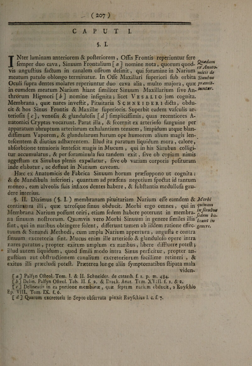 CAPUT I. §. I. INter laminam anteriorem & pofteriorem , Ofiis Frontis reperiuntur fere femper duo cava, Sinuum Frontalium [ a ] nomine nota, quorum quod- vis anguftius fadum in canalem odeum definit, qui foramine in Narium mjas & meatum patulo oblongo terminatur. In Ode Maxillari fuperiori fub orbita Sinubus Oculi fupra dentes molares reperiuntur duo cava alia, multo majora, quae promit- in eumdem meatum Narium hiant fimiliter Sinuum Maxillarium five An- tuntnr. throrum Higmori [ b ] nomine infignita ; licet V E s A L i o jam cognita. Membrana, quae nares inveftit, Pituitaria Schneideri dida, obdu¬ cit & hos Sinus Frontis & Maxillae iuperioris. Superbit eadem vafculis ar¬ teriolis [c], venofis & glandulofis [d] fimpliciffimis, quas recentiores A- natomici Cryptas vocarunt. Parat illa , & fecernit ex arteriofo fanguine per apparatum abruptum arteriarum exhalantium tenuem , limpidum atque blan- dillimum Vaporem, & glandularum harum ope humorem alium magis len- tefcentem & diutius adhaerentem. Illud ita paratum liquidum mora, calore, abforbtione tenuioris lentefcit magis in Mucum , qui in his Sinubus colligi¬ tur accumulatus, & per foraminula fua tandem exit, five ob copiam nimis nggeftam ex Sinubus plenis expellatur, five ob variam corporis polituram inde elabatur , ac deduat in Narium caveam. Haec ex Anatomicis de Fabrica Sinuum horum praefuppono ut cognita : & de Mandibula inferiori, quantum ad praefens negotium fpe-dat id tantum moneo, eam alveolis fuis infixos dentes habere , & fubftantia medullofa gau¬ dere interius. §. II. Diximus ( §. I. ) membranam pituitariam Narium ede eamdem & Morbi continuam illi, quae utrofque finus obducit. Morbi ergo omnes, qui in Membrana Narium podunt oriri, etiam fedem habere poterunt in membra- adem ba na finuurn noftrorum. Quamvis vero Morbi Sinuum in genere fimiles illis icant fint, qui in naribus obtingere folent, differunt tamen ab iifdem ratione effec- gemre. tuum & Sanandi Methodi, cum ampla Narium appertura , anguda e contra finuurn excretoria fint. Mucus enim ille arteriofo & glandulofo opere intra nares paratus , propter exitum amplum ex naribus, libere diffluere poteft: j illud autem liquidum, quod fimili modo intra Sinus perficitur, propter an- guftiam aut obftru&ionem canalium excretoriorum facillime retineri , & exitus illi praecludi poteft. Praeterea longe aliis fymptomatibus ftipata mala viden¬ te a] Palfyn Ofteol. Tom. T. & II. Schneider. de catarrh f. i. p. m. 484. [b] Delin. Palfyn Ofteol. Tab. II. f. 2. & Drack. Anat. Tcm. XVlll. f. 1. & 2. fic] Delineatis in ea portione membana , quas feptim narimi obducit, a Ruyfchio Ep. VIII. Tom. IX. f. 6. £ d ] Quarum excretoria in Septo obfervata pinxit Ruyfchius 1. c, f. 7. m J