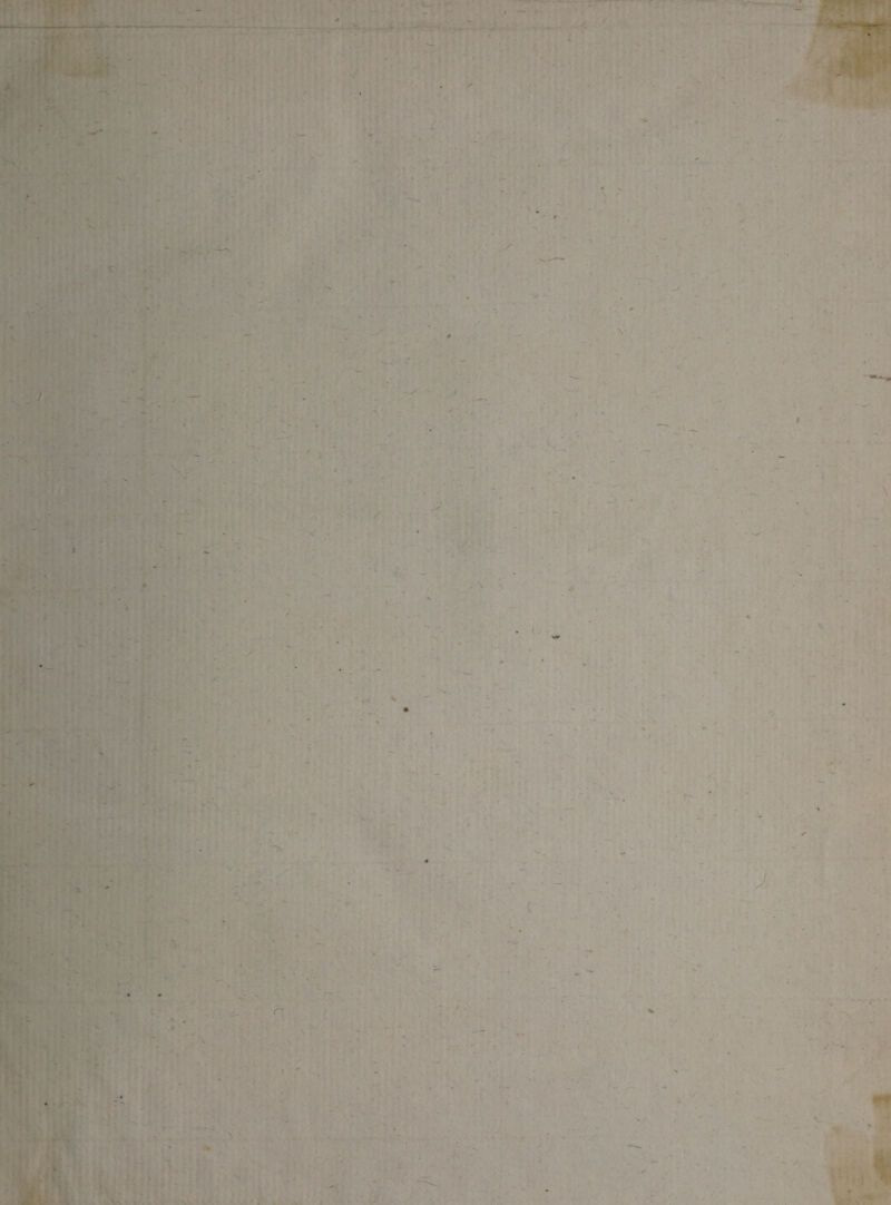 t • 4- Ji. ♦ \' ; \ ■ V 1 » /3 i r V .Jl«' '