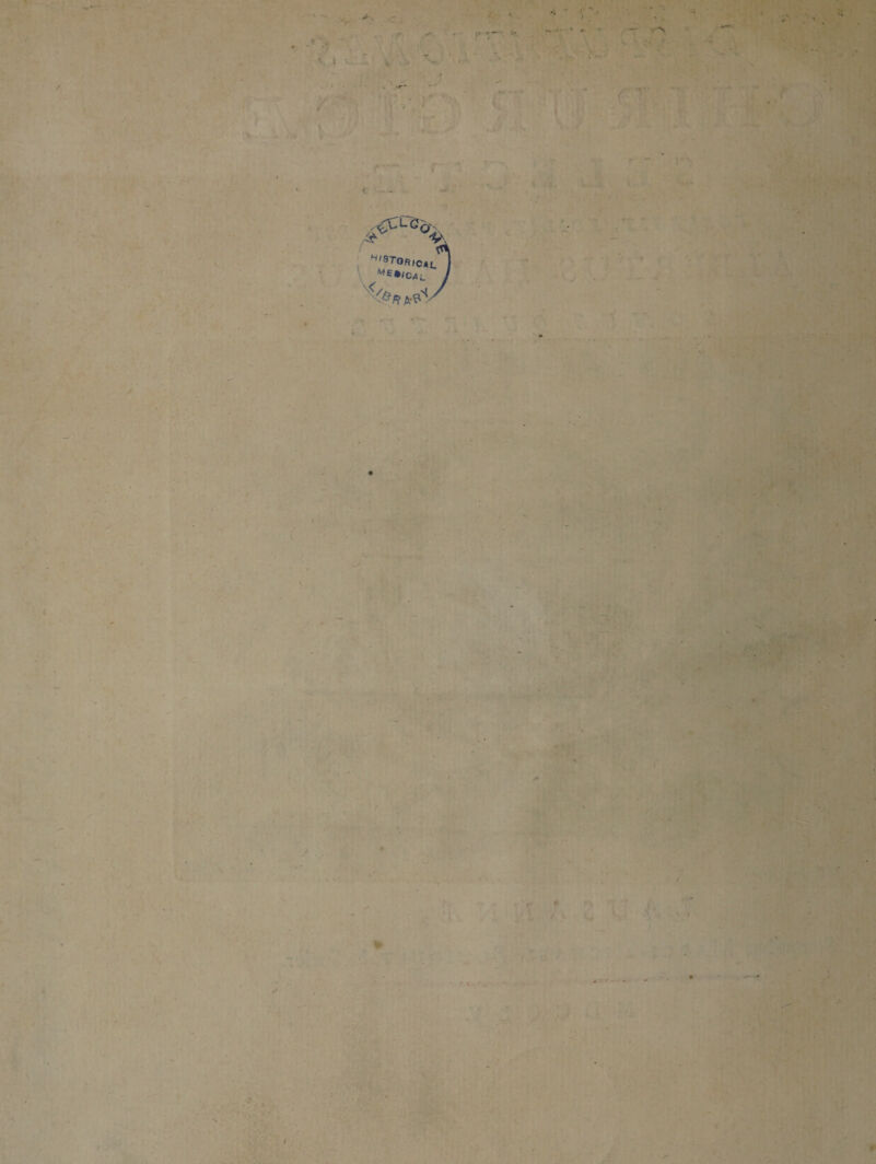 i $ ^ WL \ '^^•ICAL j . » . '• I