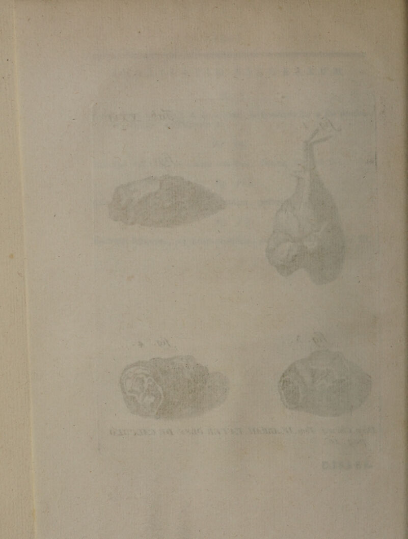 ..v; » »• \ ■■■'• Jr'-■ :r« ■' . ■ -JS;- -.■ . ' ■ ' '».■ vS k.'» '• : ■- ' '. . :'■■‘■■.'H Tt i', - - r , , ■ ■ - <t ■ ' . ,■7 - ■f;'%^'-VO- i’''-:- ■'•■S -. ; ,.-•?•■ V ..59 - ;,A ^ -- • ' :!■ ''- ■ —, ■■>’ .7 .w-'ni ' -AS VC* »*■ V;-^ ’! ■ ;f» ■ fv.. t \.r ■ ? > .M-f; •Vl r i* * ■ : . » A. . A’ 4<} ;■’■ < •'V ,. ‘. ,..M. ■ v^r«. Tk ‘ W^J- ■'■ s-s;- 7>4:a: .:' ‘wr -m ;. ■ :■. 4 ■ ■:^ . :; y.. % ■ . ■.'■- •* . Aki: ':fe-'■■'■sr-,7 l 'A ^ ^ -b 'i. .^i ■*i'r.>.y ■ r'**^ •3.;^^jV-v:, L-T?..',y ■ • ', v ■ ,; • •' « ' • • -■'.•• 7. ^ ■ .-i». '■ ' •^1 7.... '•U ■ ' ' ' . / ■ V,--’ ■ ; • 'i 4Si'-- Vv '■ -J -.vA,- s; ..;y: A - f •‘J»? - A V*. . - ■ m ,m ■ ■\iw: ^ c ' .iViv/VA^;:;^VVA \\.v WA \\^Vvu;vy.*4\^A VN;i vfrs- . t •. tr , ' ' % -, *-~ ^ ' jji j ^ A•-^ ■', ■■'; .'-5 ^ ■,<. r ' iX?-8? ■V U'.> ,■ *- a’ >V^. '. ■', ■ ;• **.i» VAi 1 -x 'w- ■■' V.. . V- ,T* 3* i.' . •> ' 4 • ^4i^\ ■ ■'»•.■'-■'A» .'•, V.’ • 1^ ’/ ' ' * .'I' ‘ • i-^ • V N- ■ ' . ., * , 4 ; . I / , n